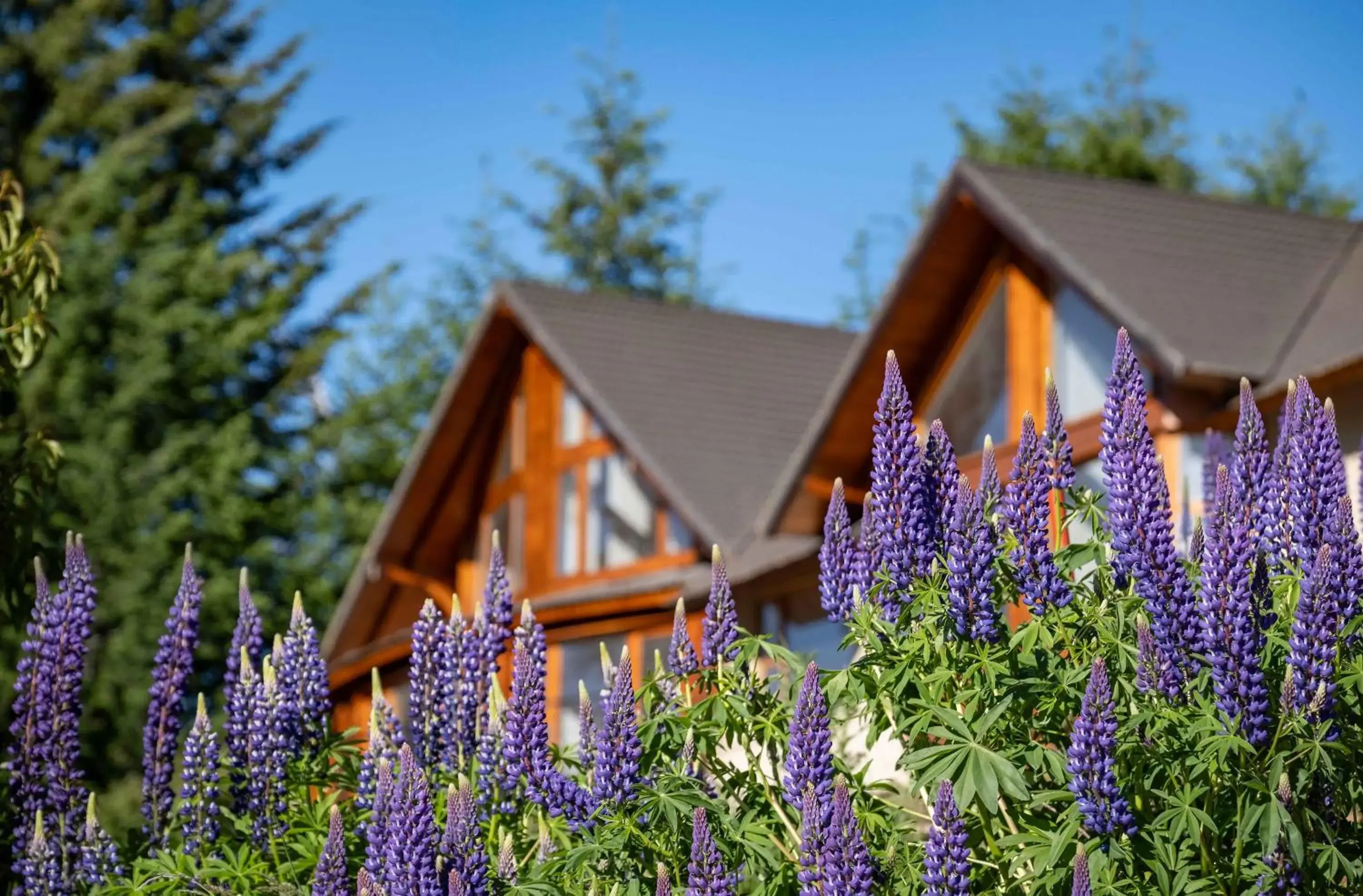 Property building in Puerto Manzano Boutique Hotel Property building in Puerto Manzano Boutique Hotel