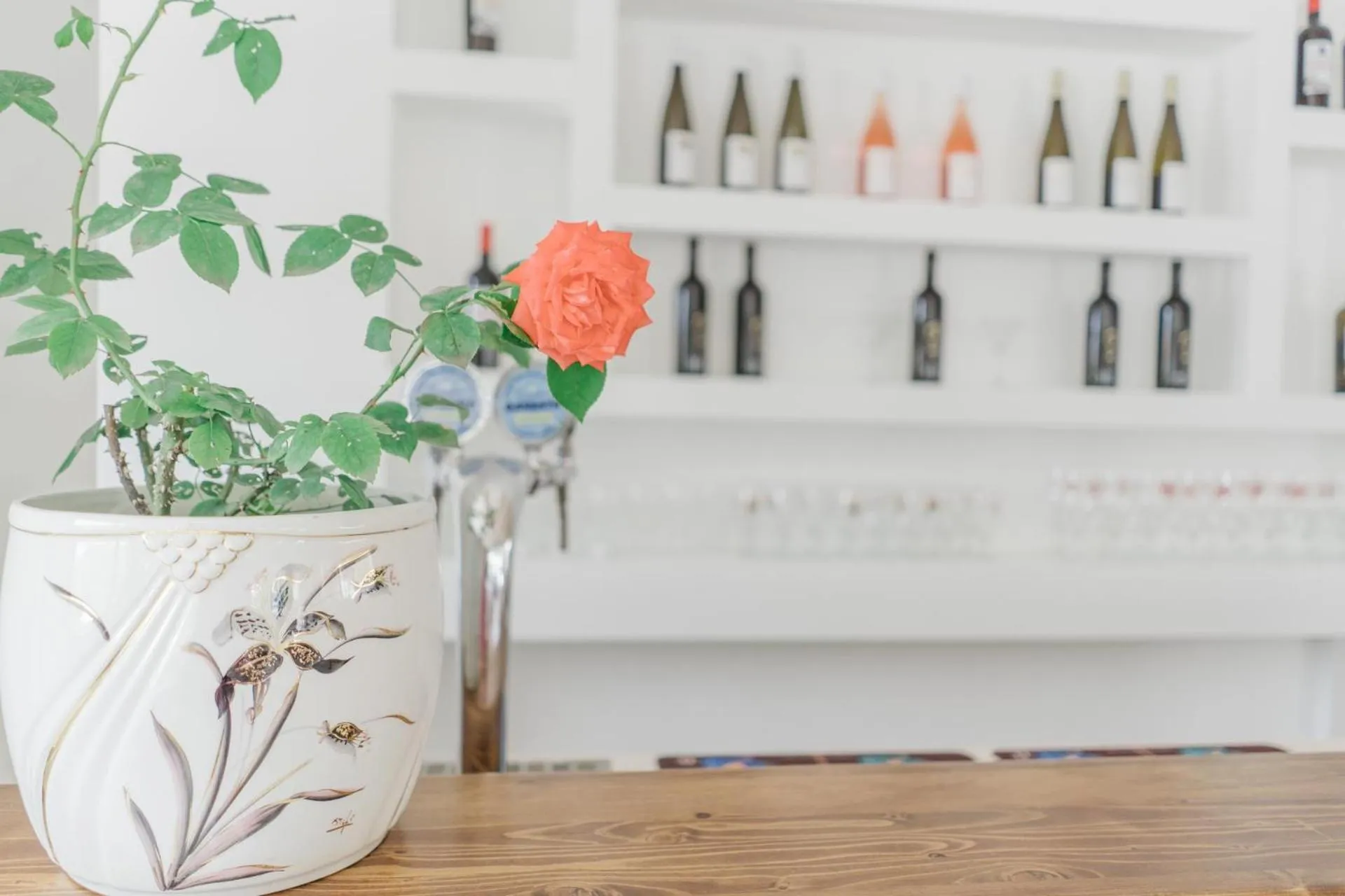 Drinks in Hotel Santa Rosalia