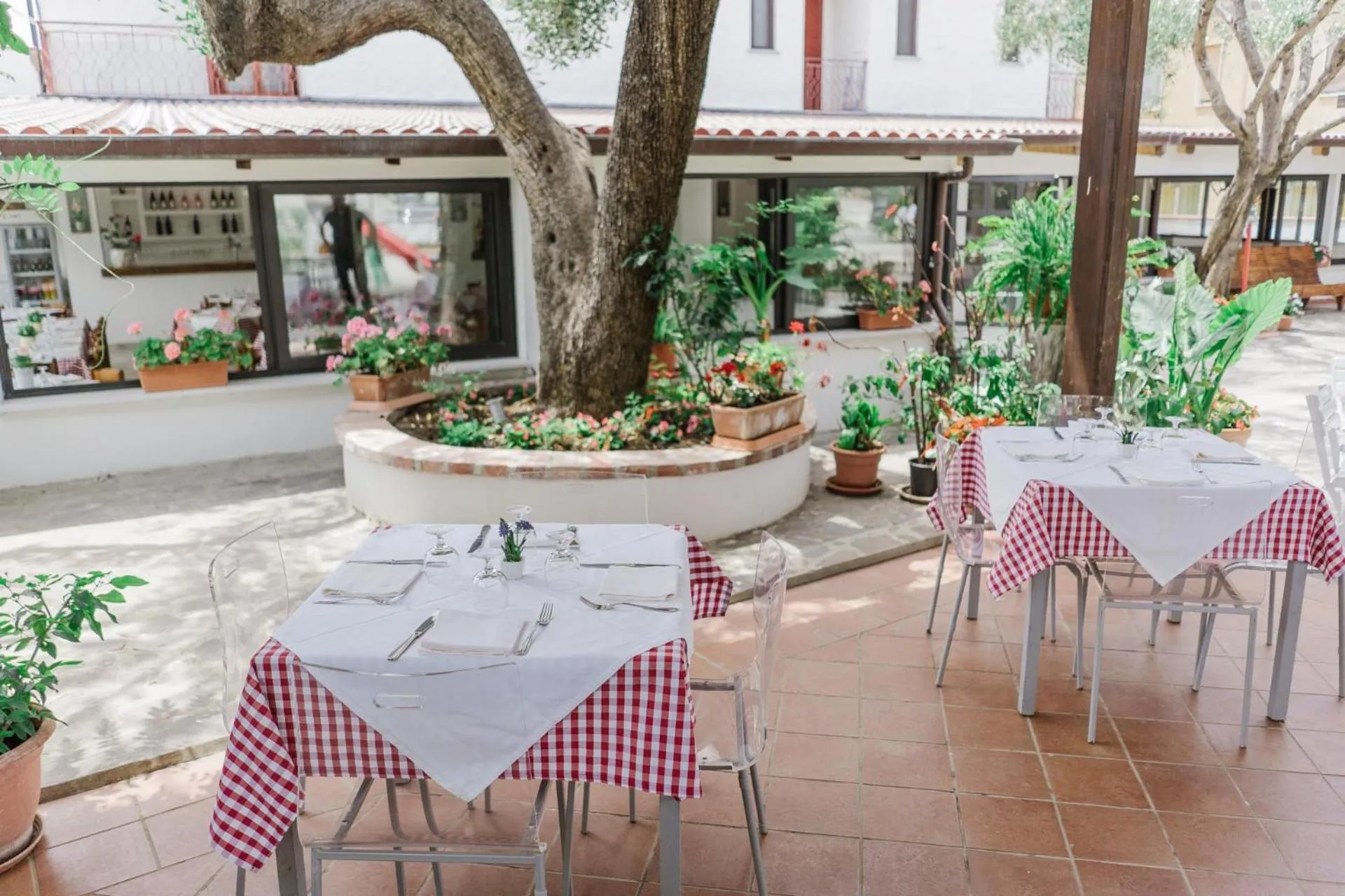 Restaurant/places to eat in Hotel Santa Rosalia