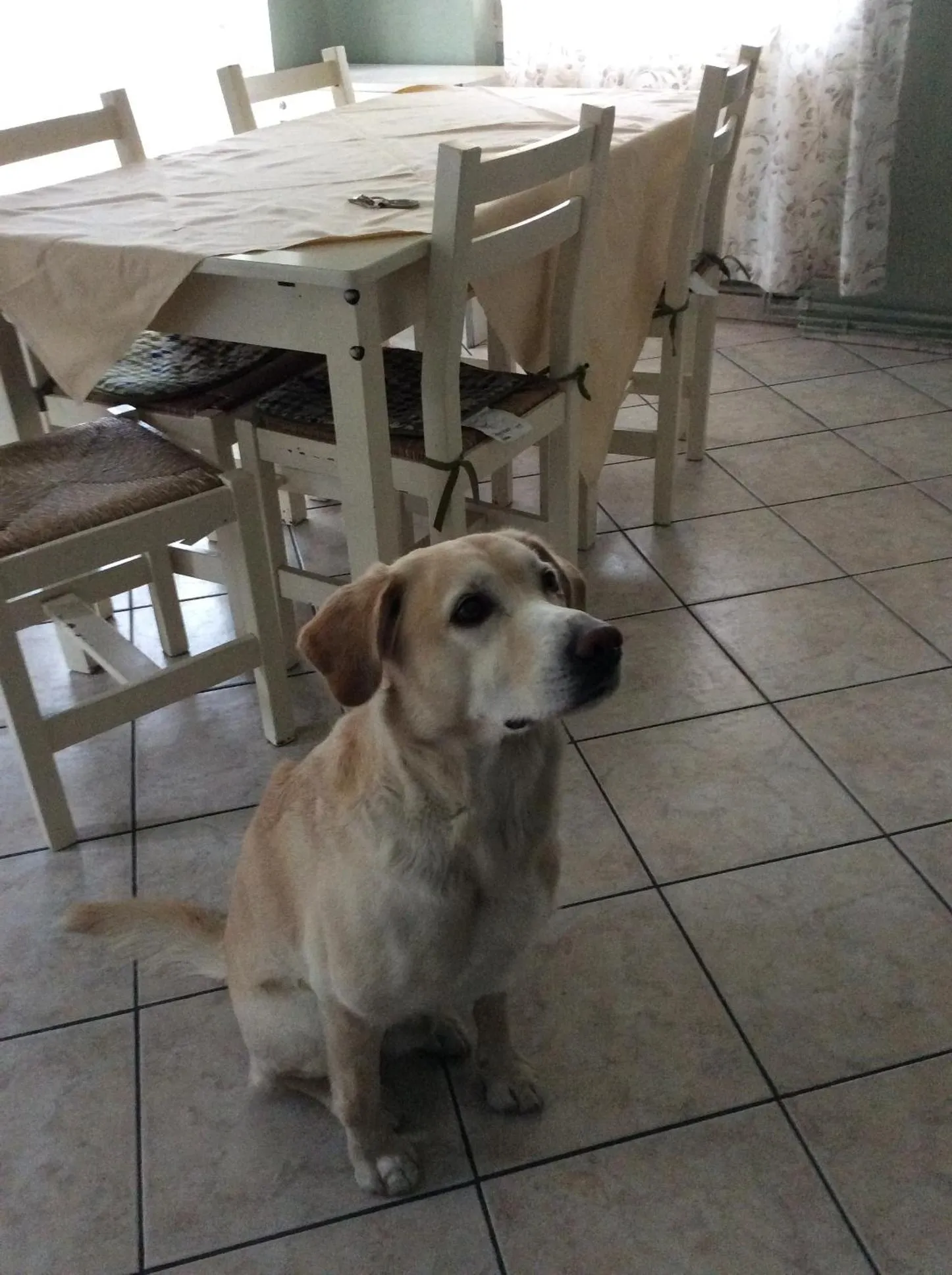 Dining area in Residence Perla