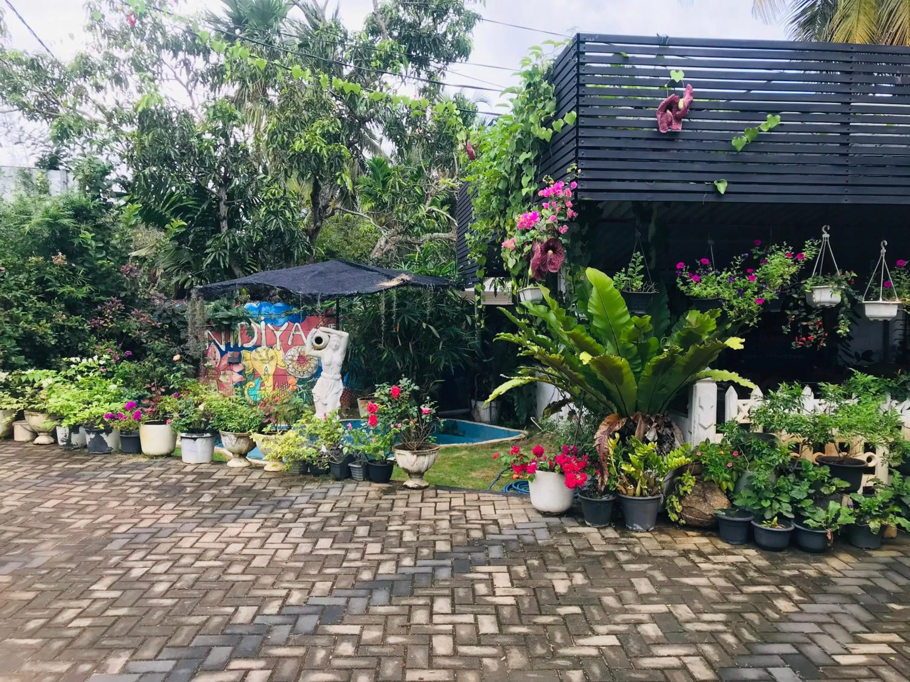Pinidiya Resort