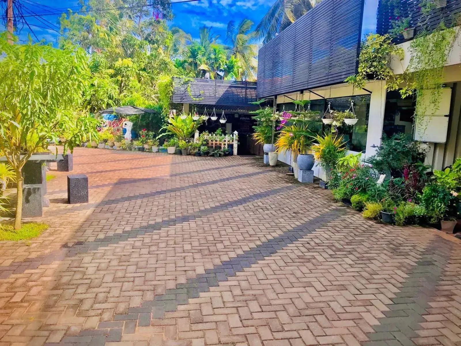 Pinidiya Resort Pinidiya Resort