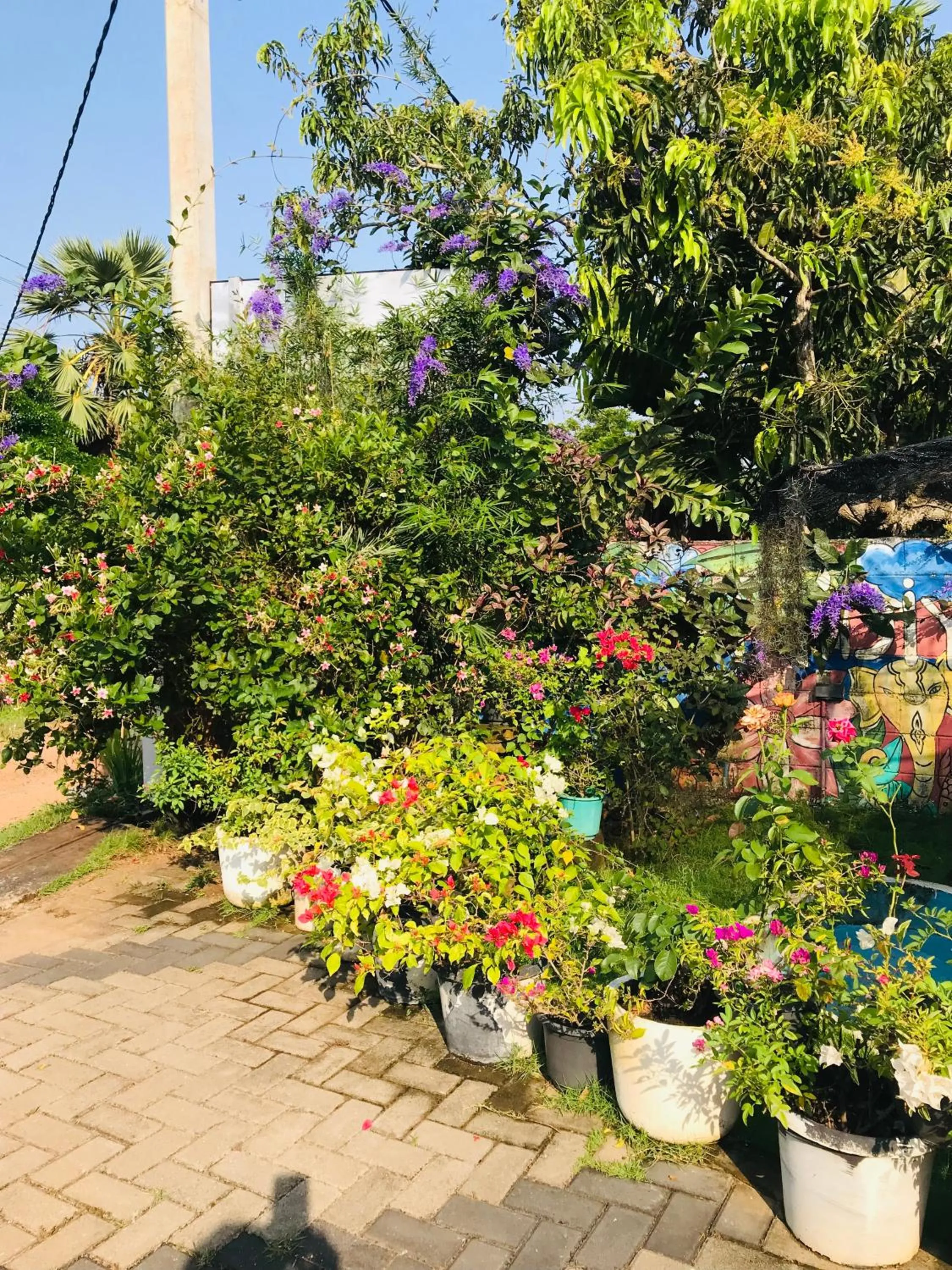 Pinidiya Resort
