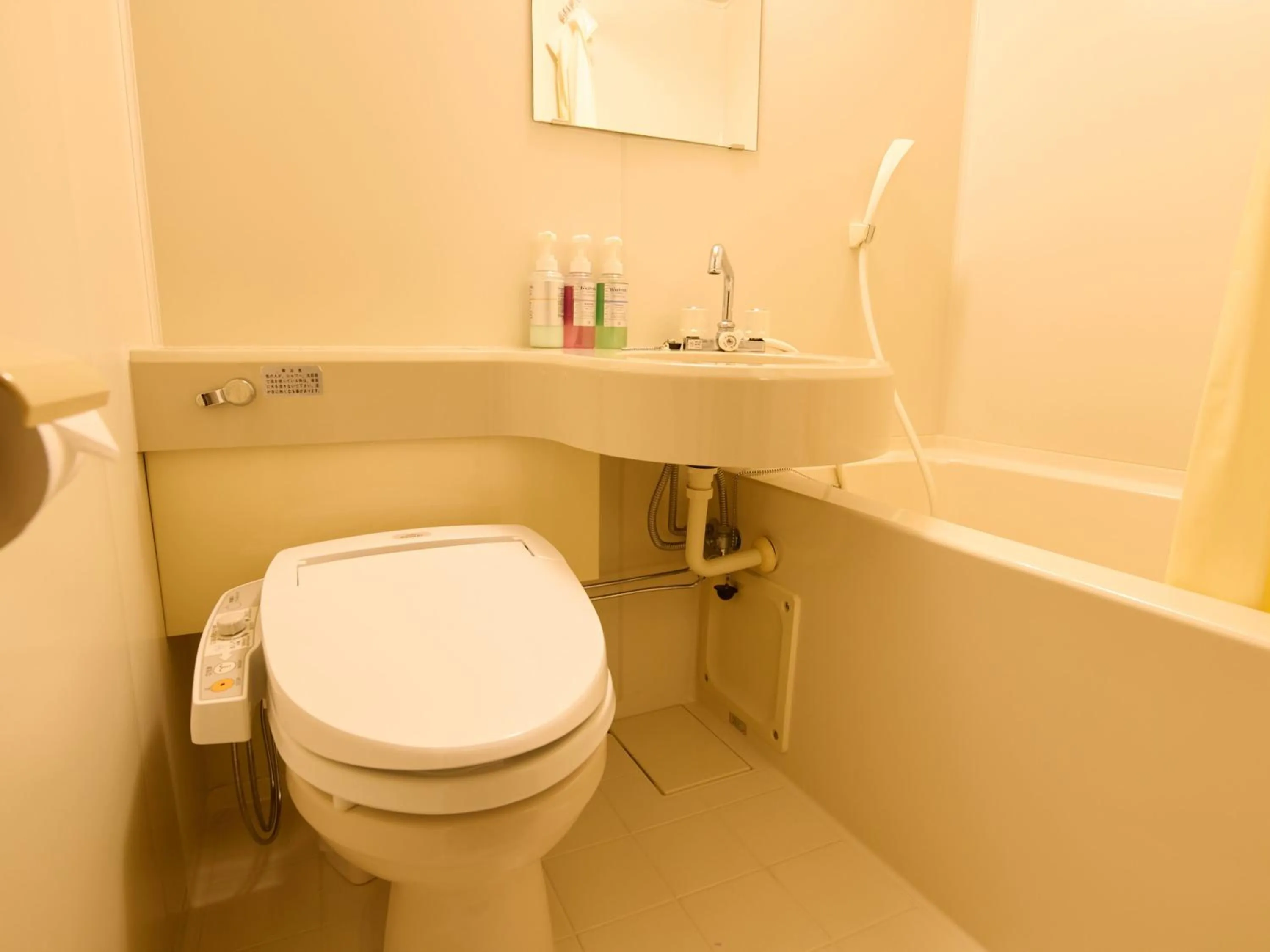 Toilet in Hotel Toko