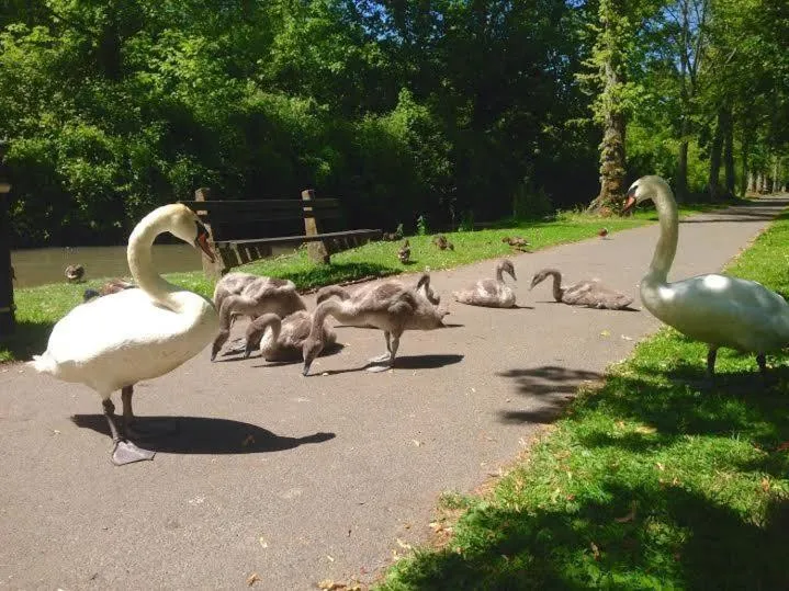 Neighbourhood in Arden House