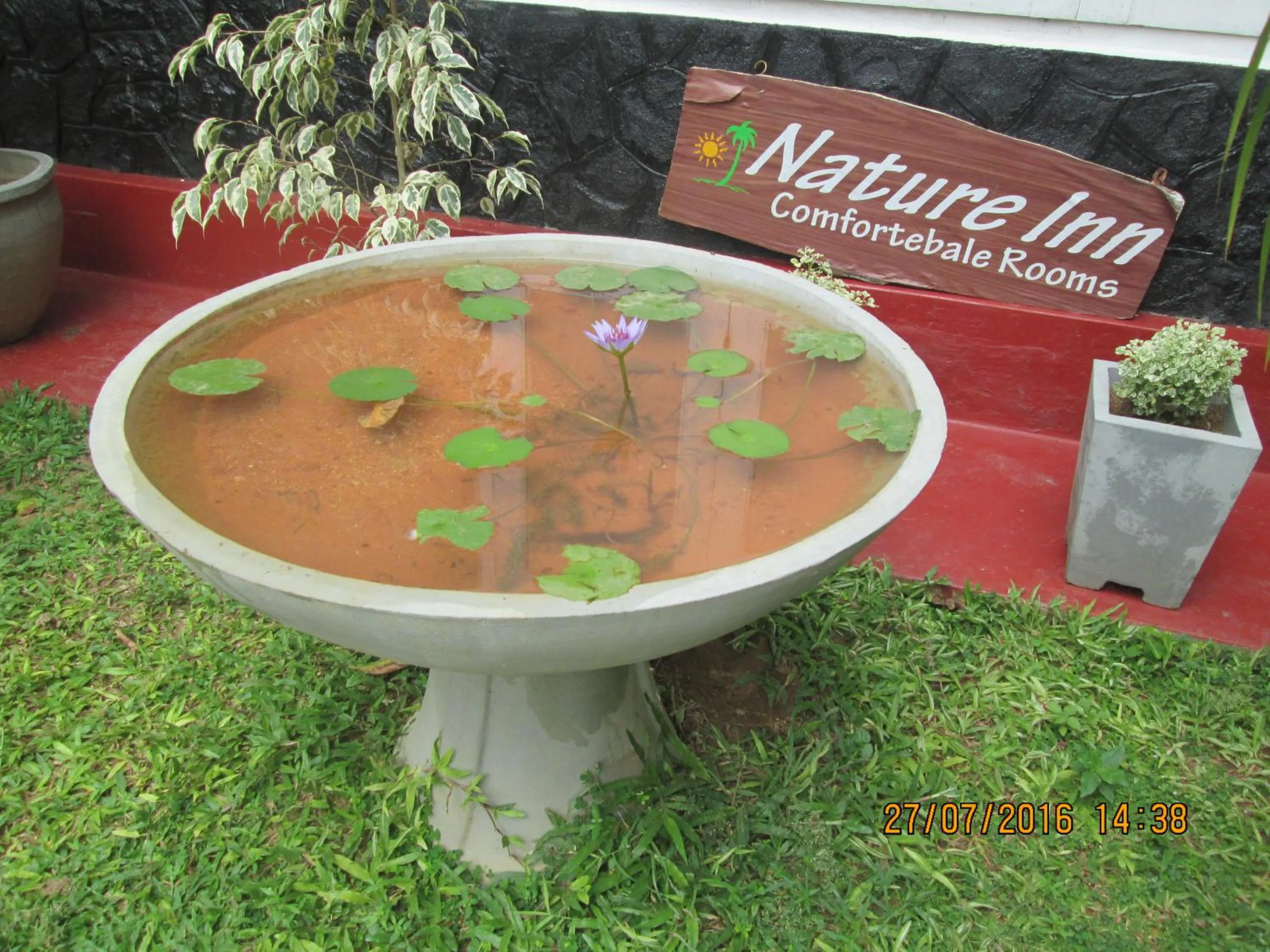 Garden view in Nature Inn