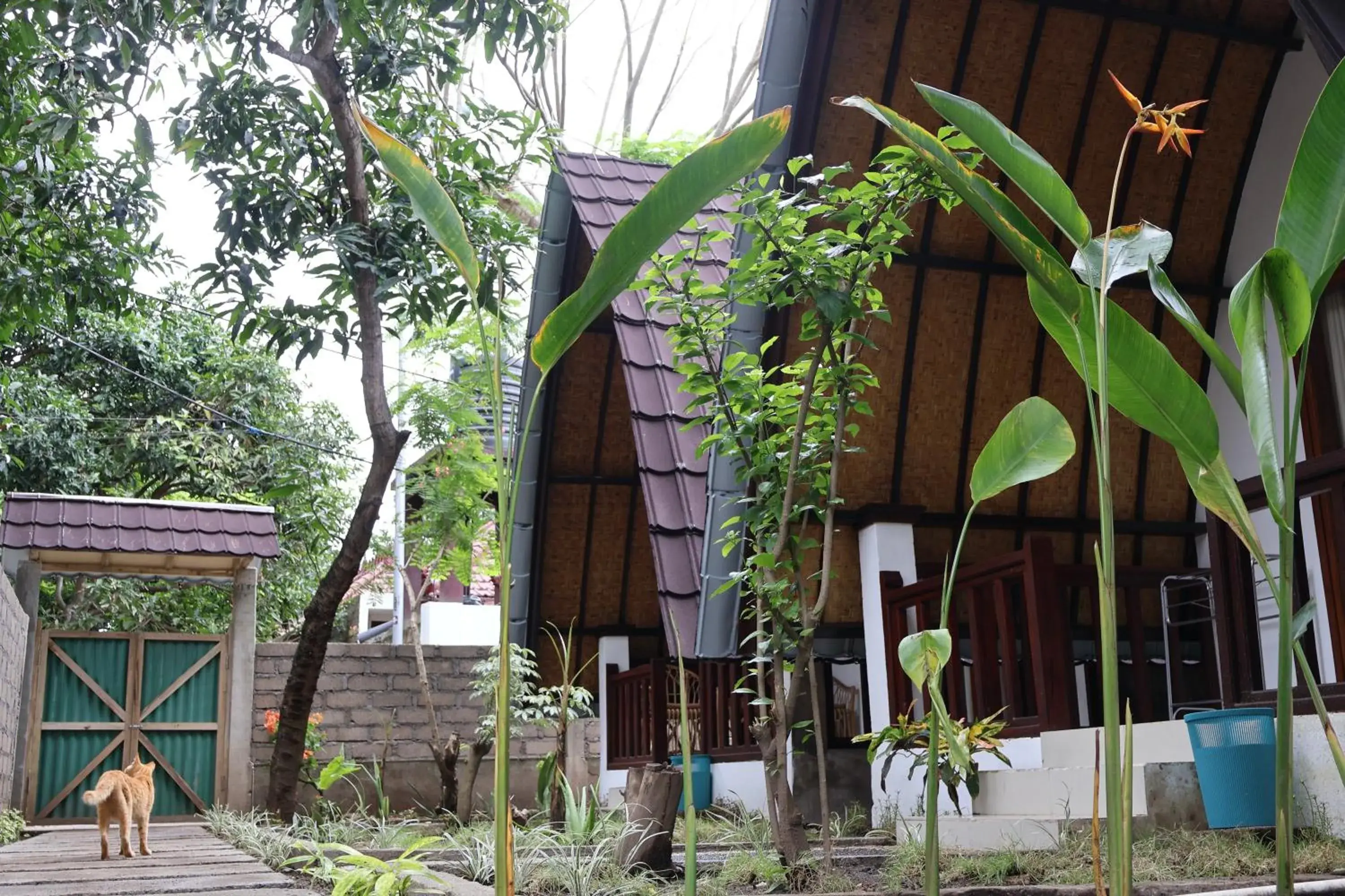 Rumah Gemala Gili Air Rumah Gemala Gili Air
