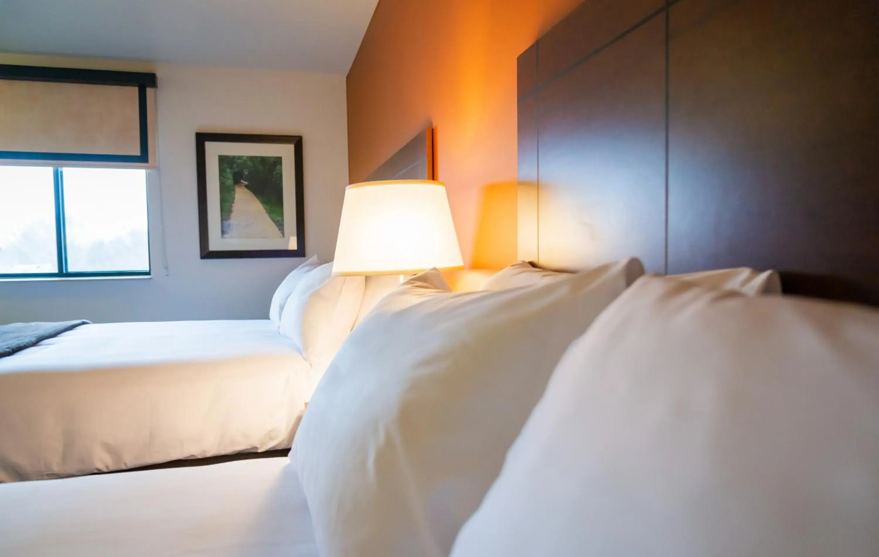 Bed in My Place Hotel-Bismarck, ND Bed in My Place Hotel-Bismarck, ND