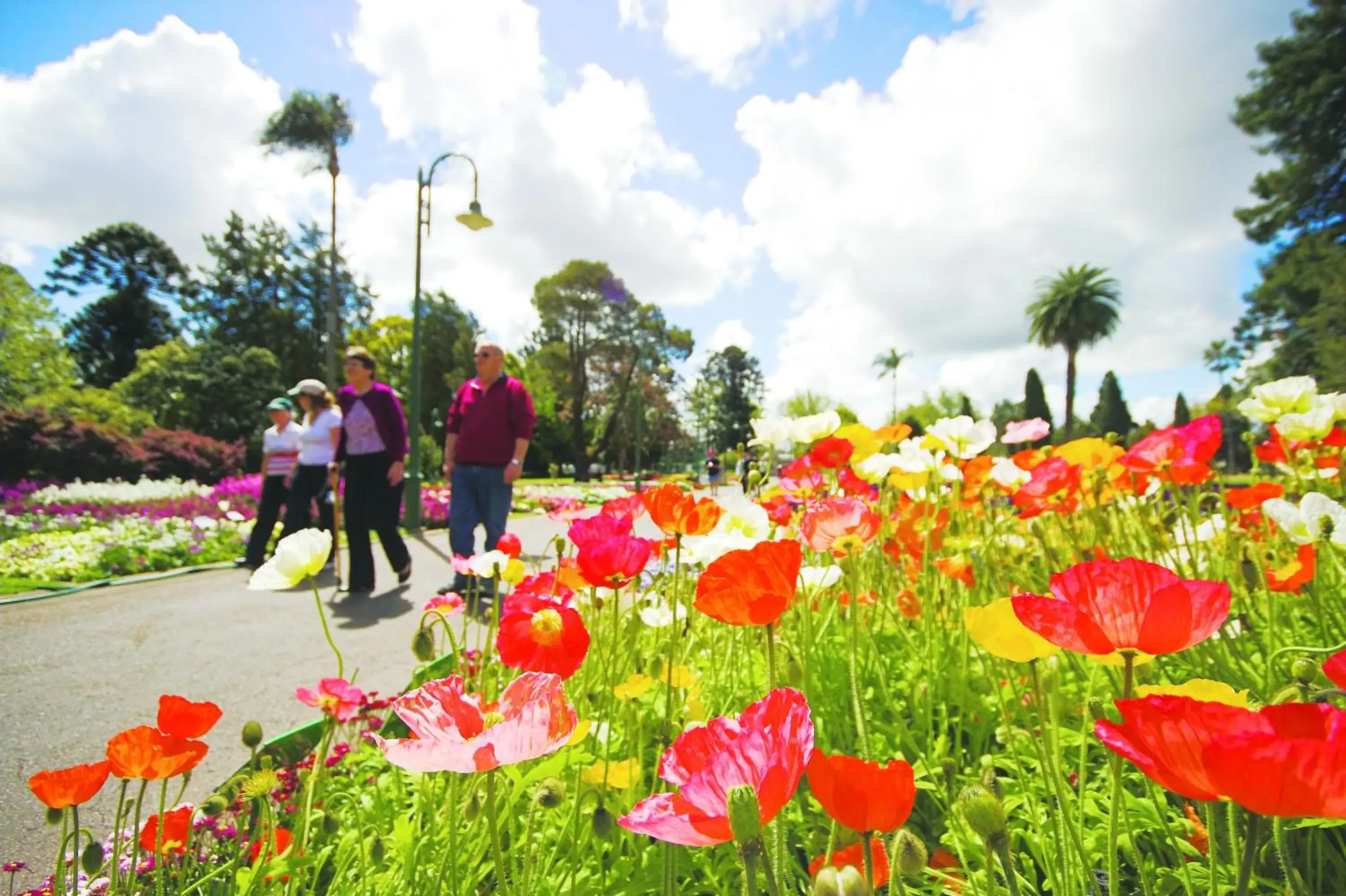 Area and facilities in Quest Toowoomba Area and facilities in Quest Toowoomba