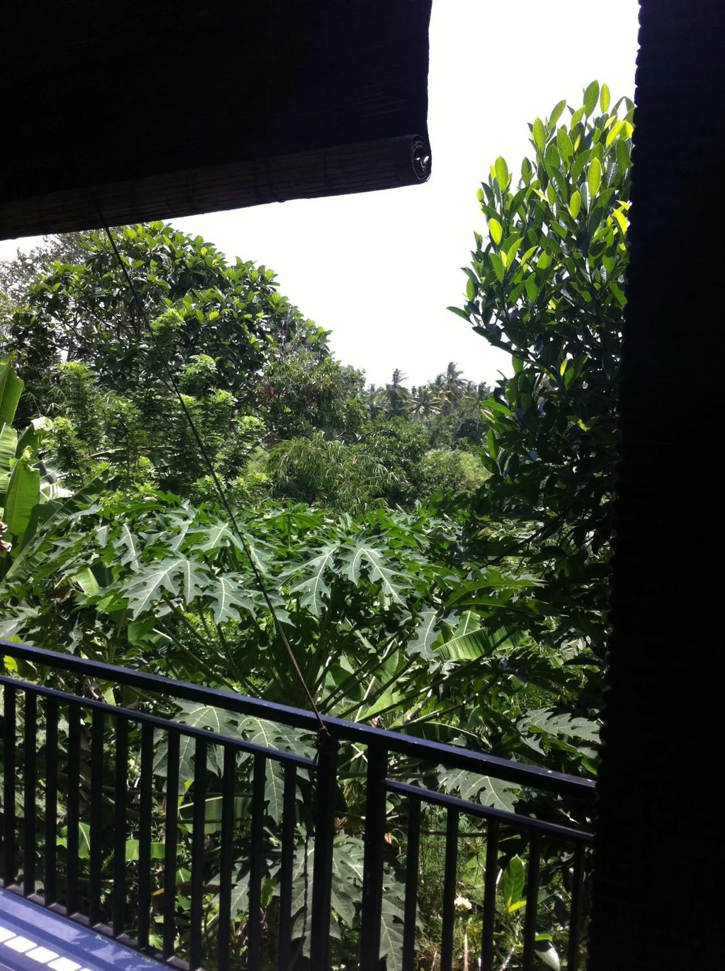 Landmark view in Pondok Bali