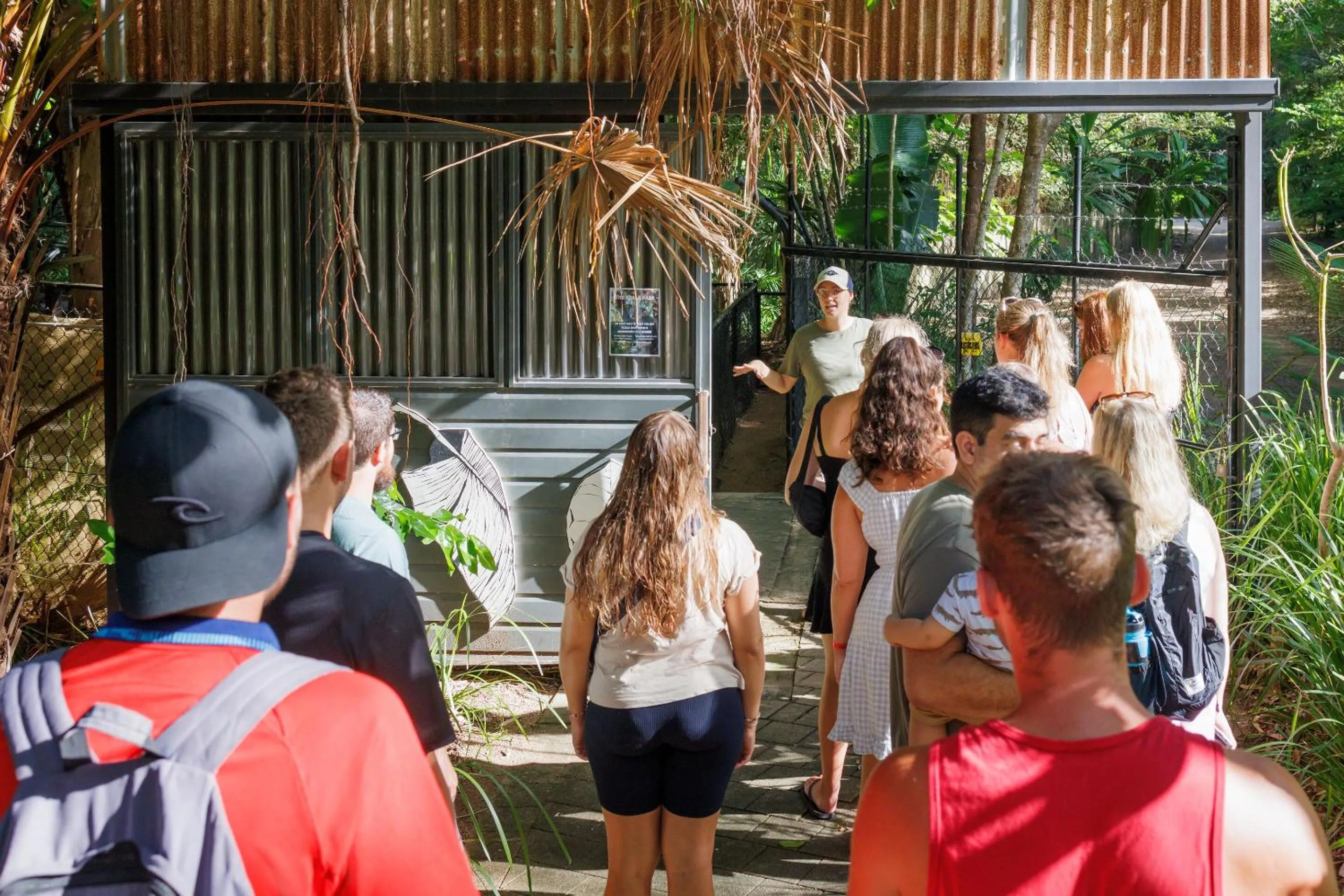 Activities in Bounce Magnetic Island and Koala Park