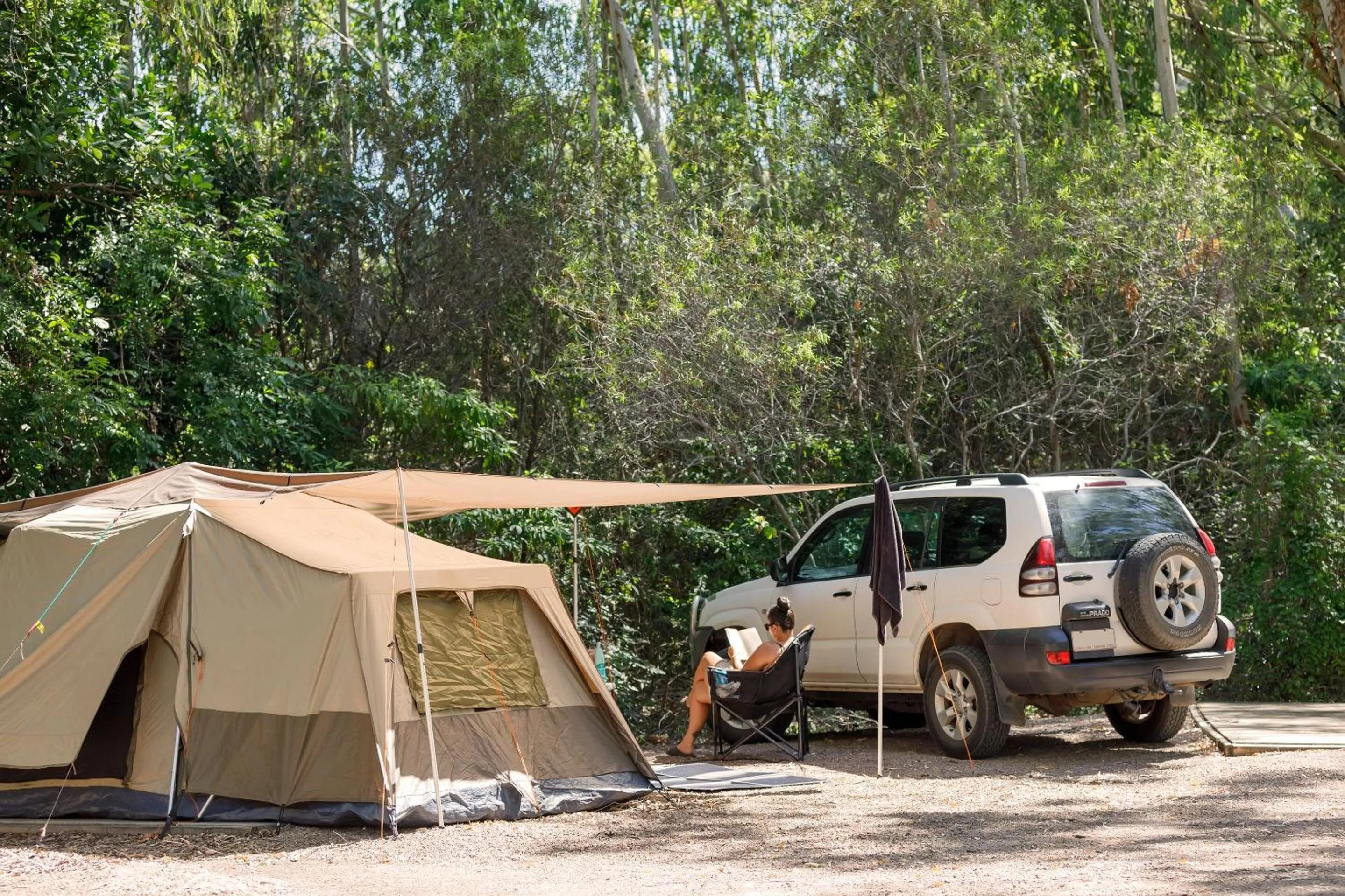 Natural landscape in Bounce Magnetic Island and Koala Park