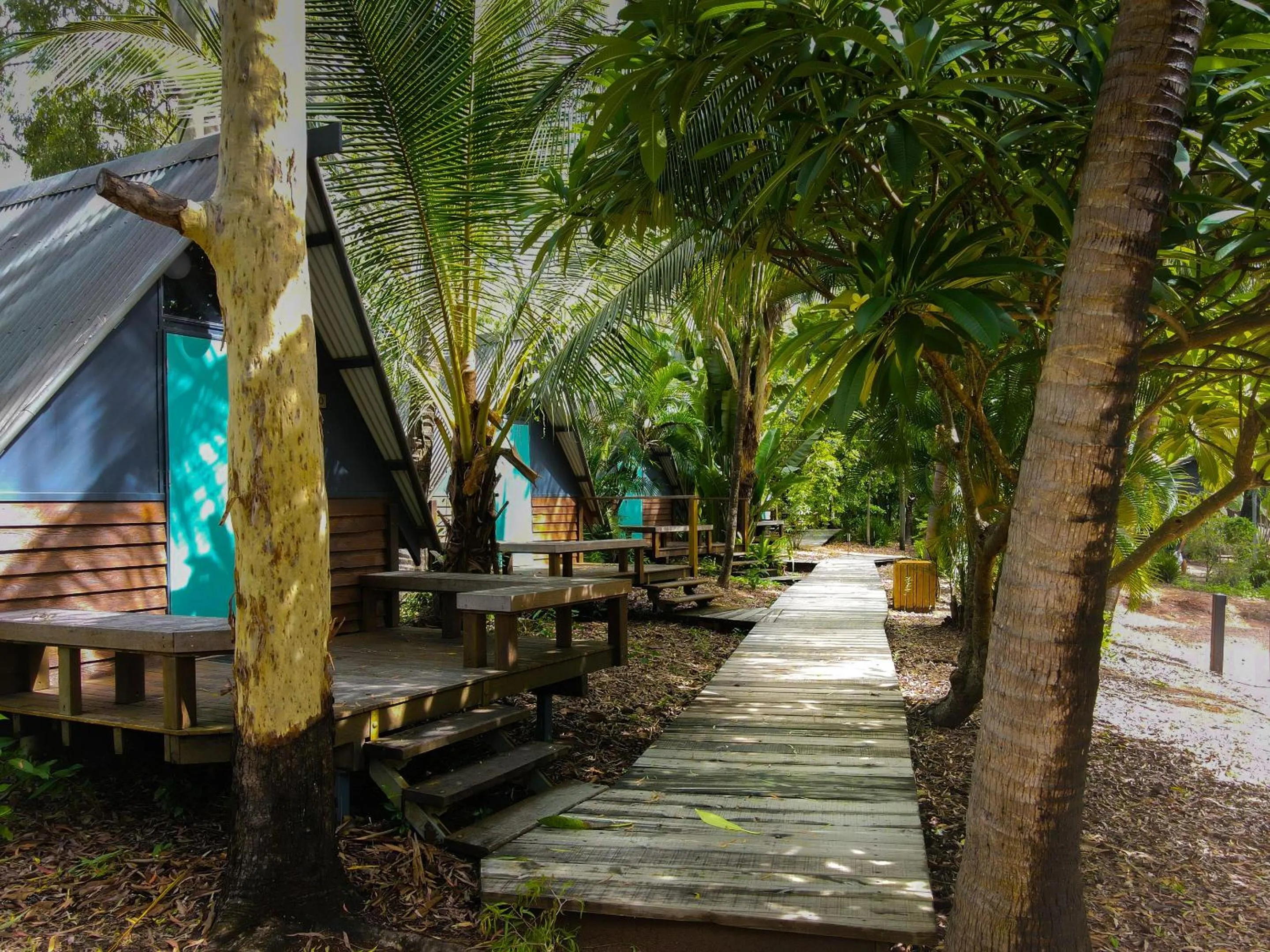 Garden in Bounce Magnetic Island and Koala Park