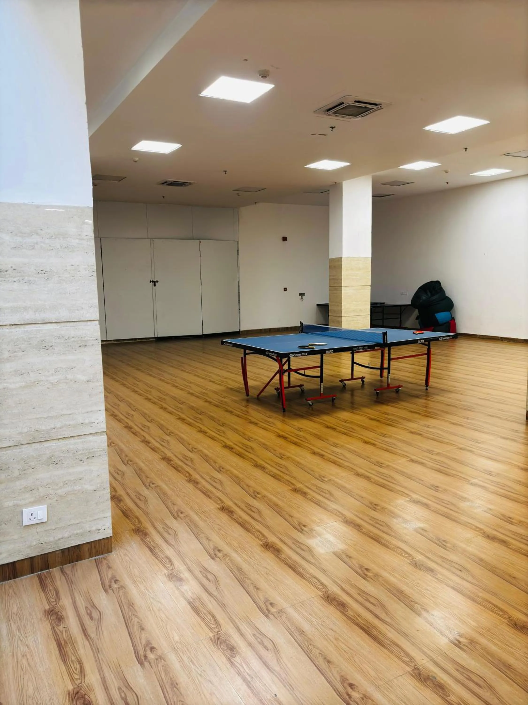 Table tennis in Housr Sector 28 Gurgaon Near IFFCO Chowk Metro Station
