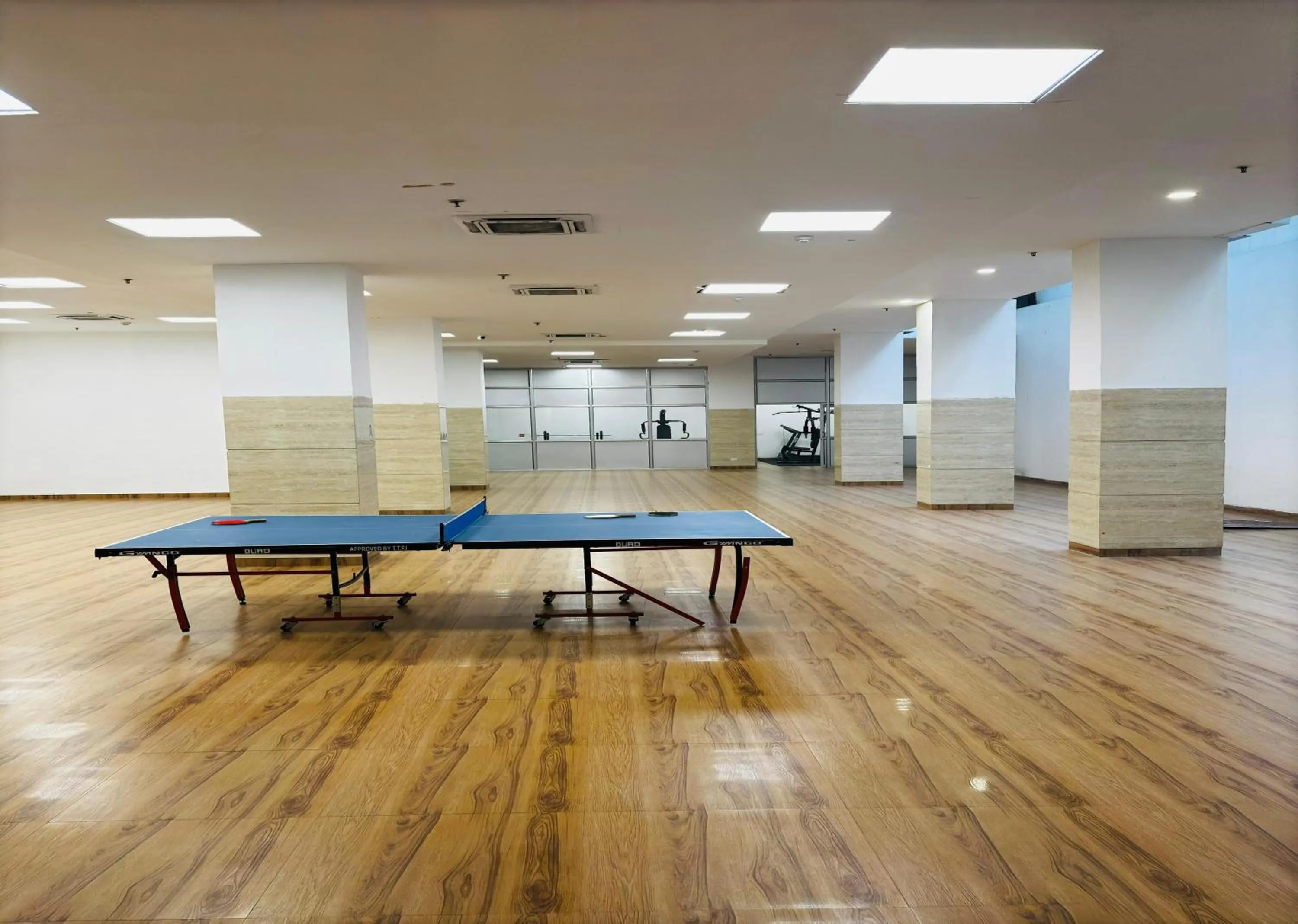 Game Room in Housr Sector 28 Gurgaon Near IFFCO Chowk Metro Station