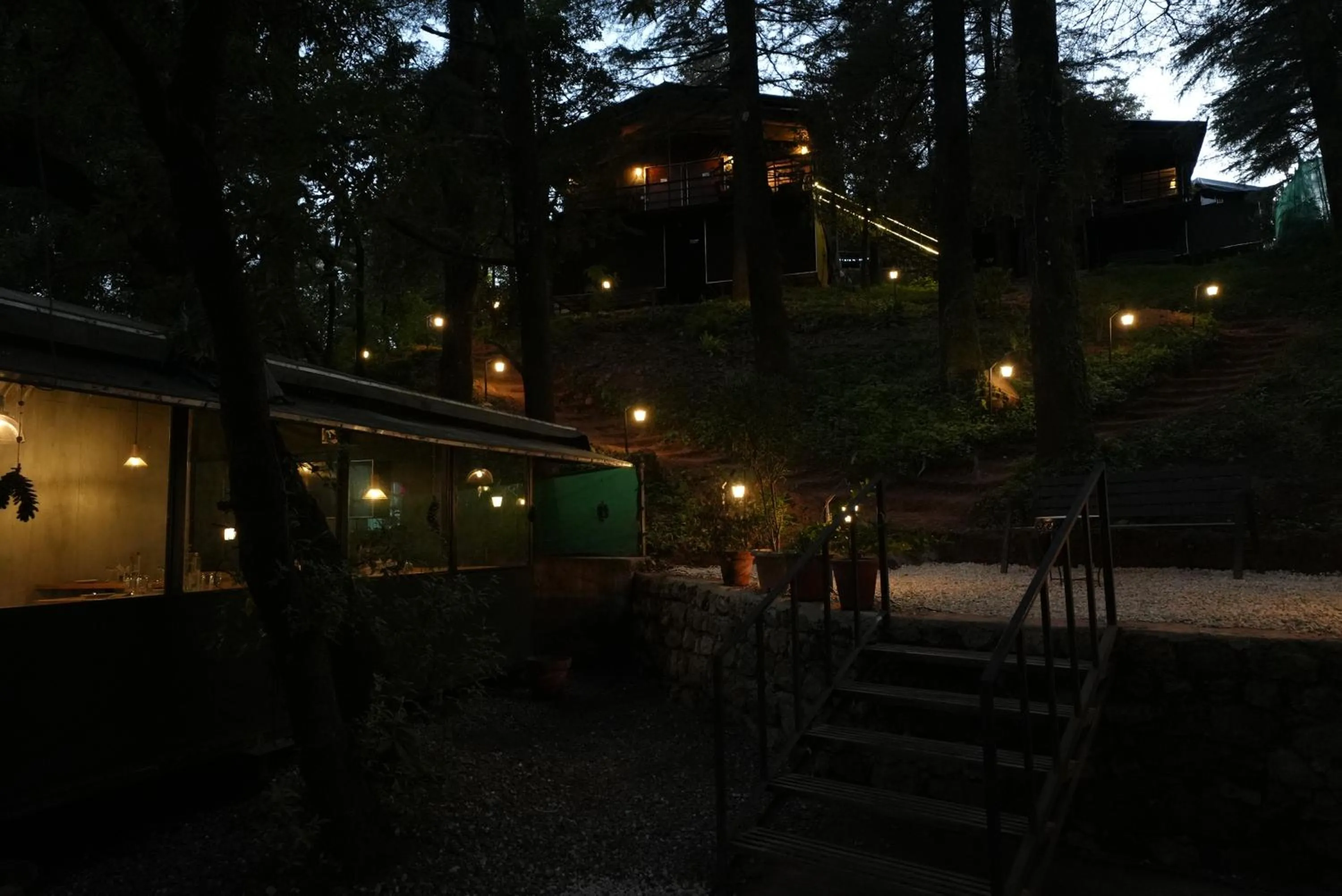Treetop Glamps