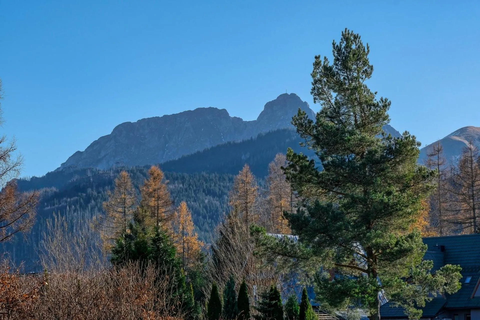 Day in Rezydencja Knauberówka, Odkryj-Zakopane