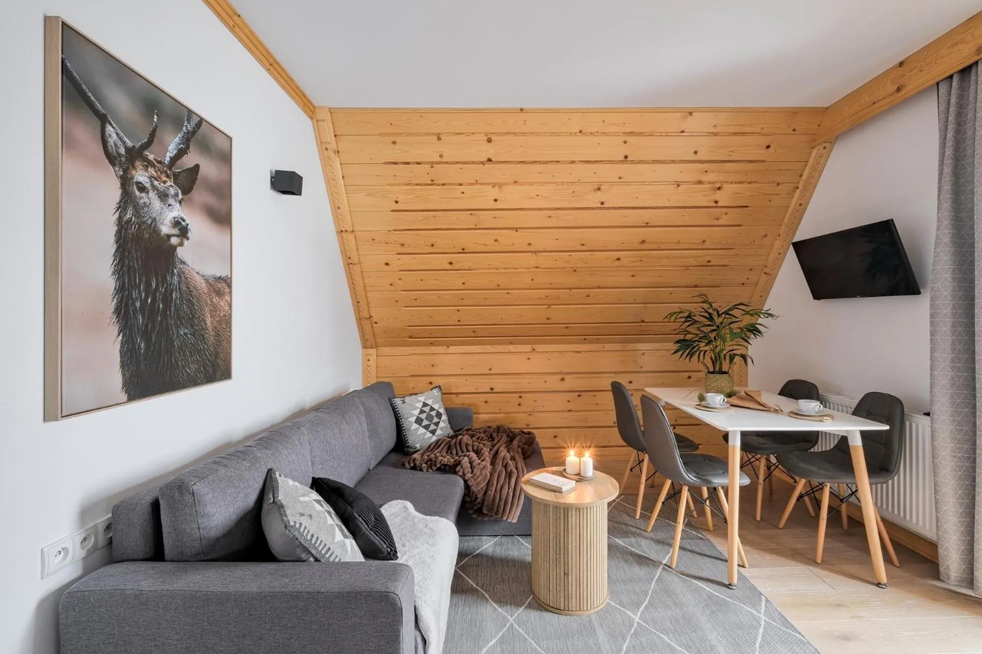 Communal lounge/ TV room in Rezydencja Knauberówka, Odkryj-Zakopane