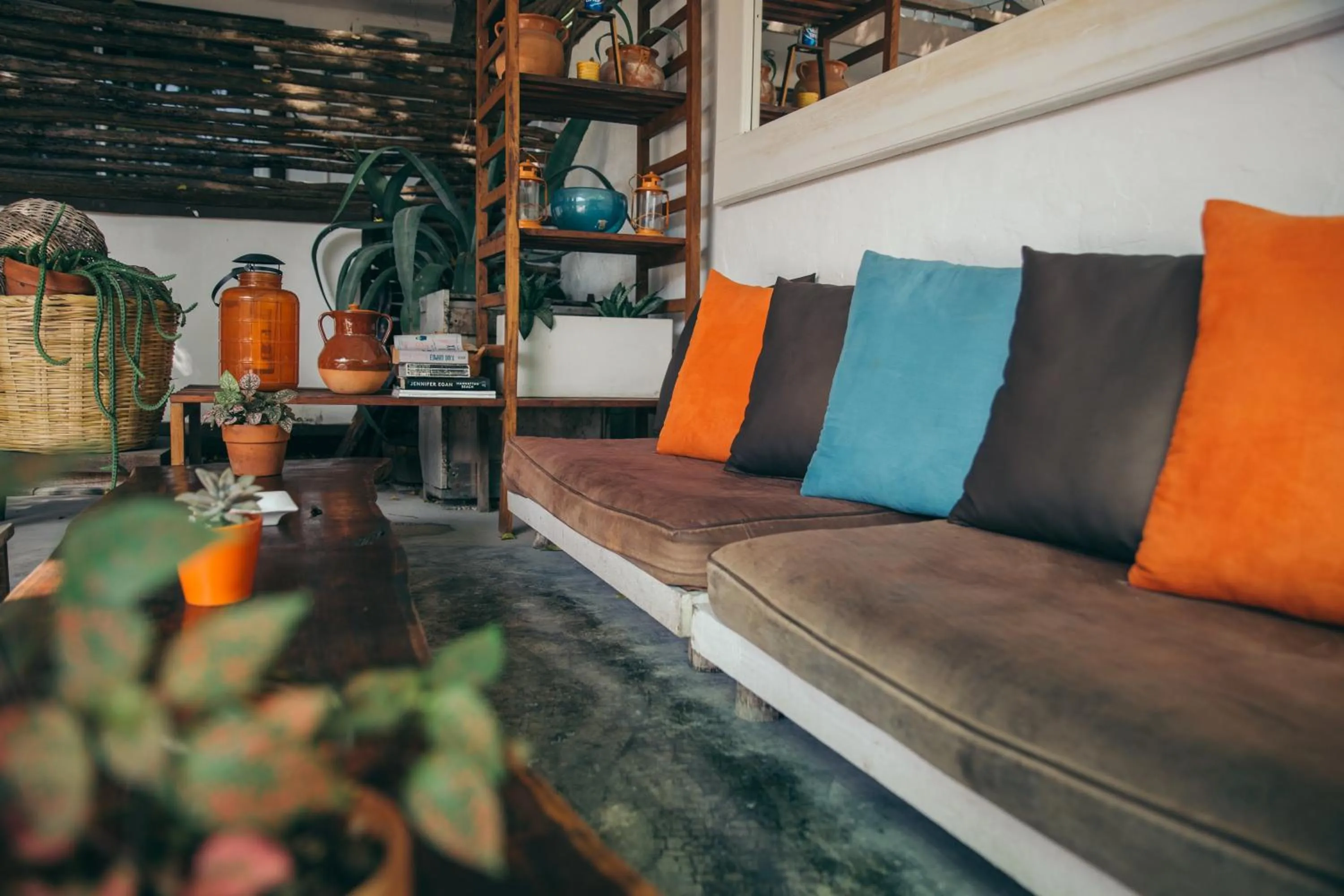 Garden in Teetotum hotel