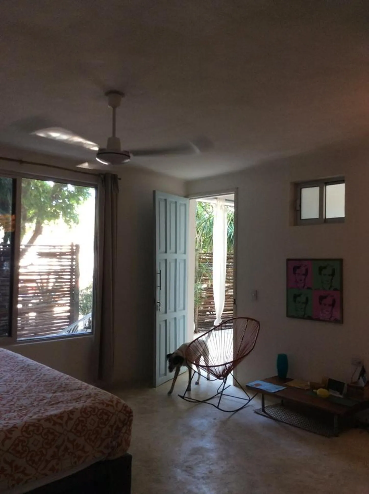 Garden view in Teetotum hotel