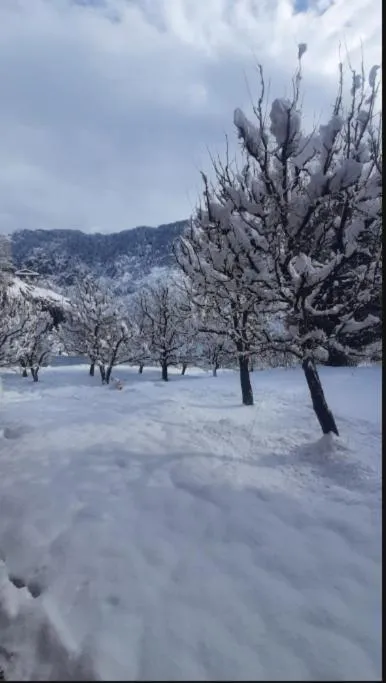 Winter in Apple Field House