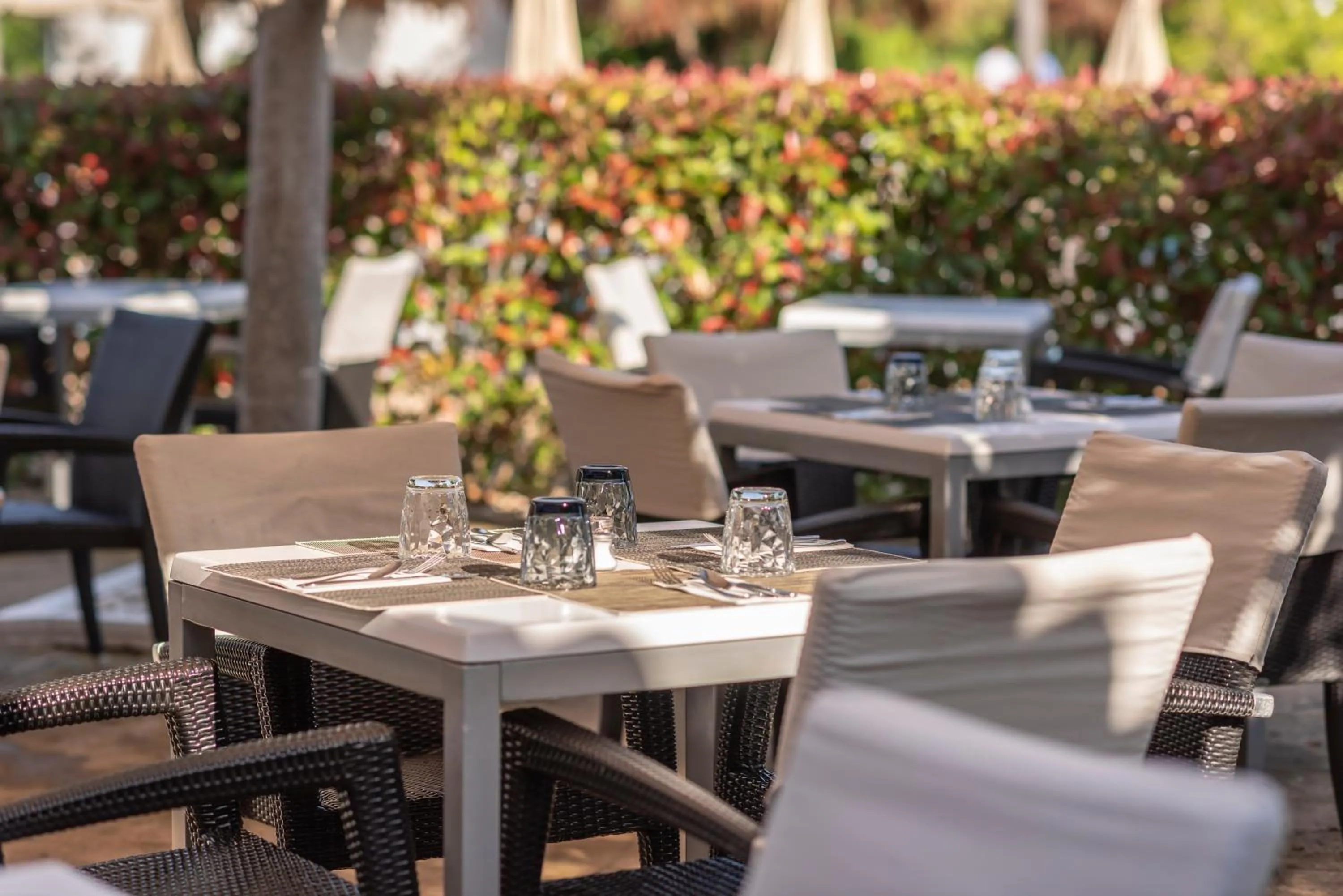 Restaurant/places to eat in Valentin Playa de Muro