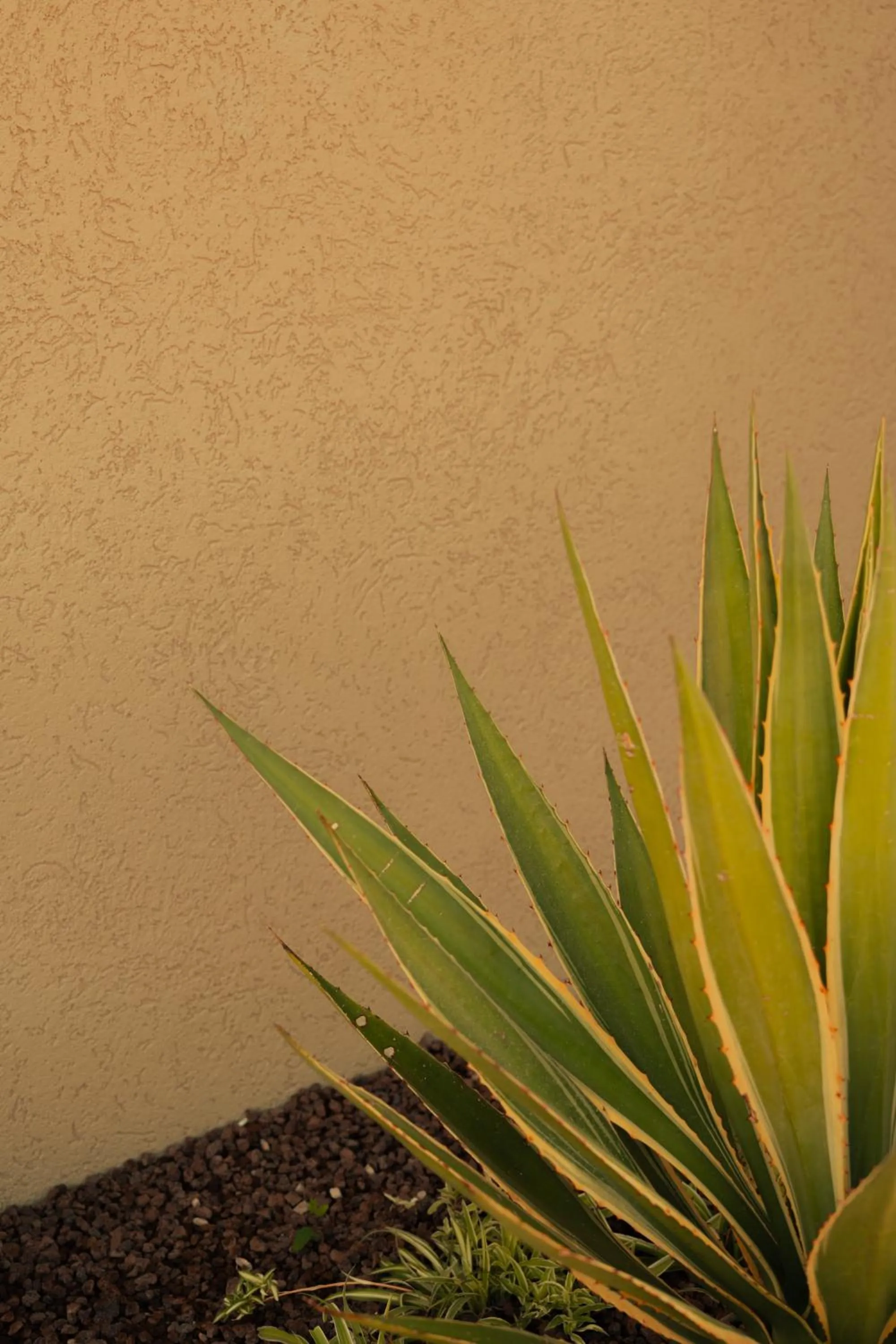 Day in Silence Villas