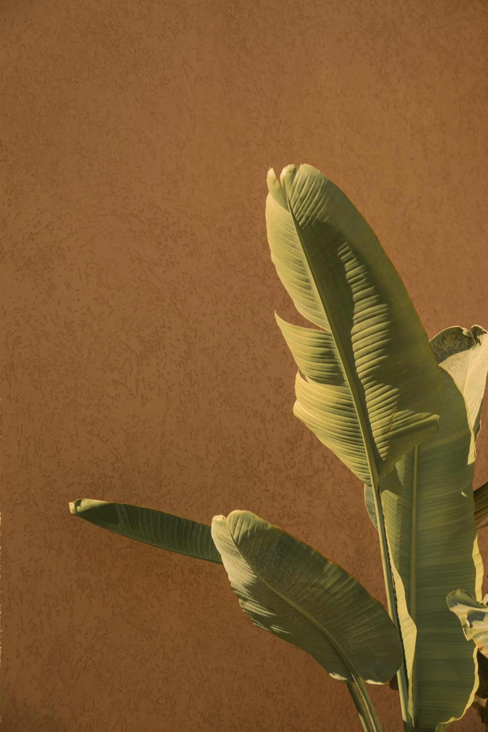 On site in Silence Villas