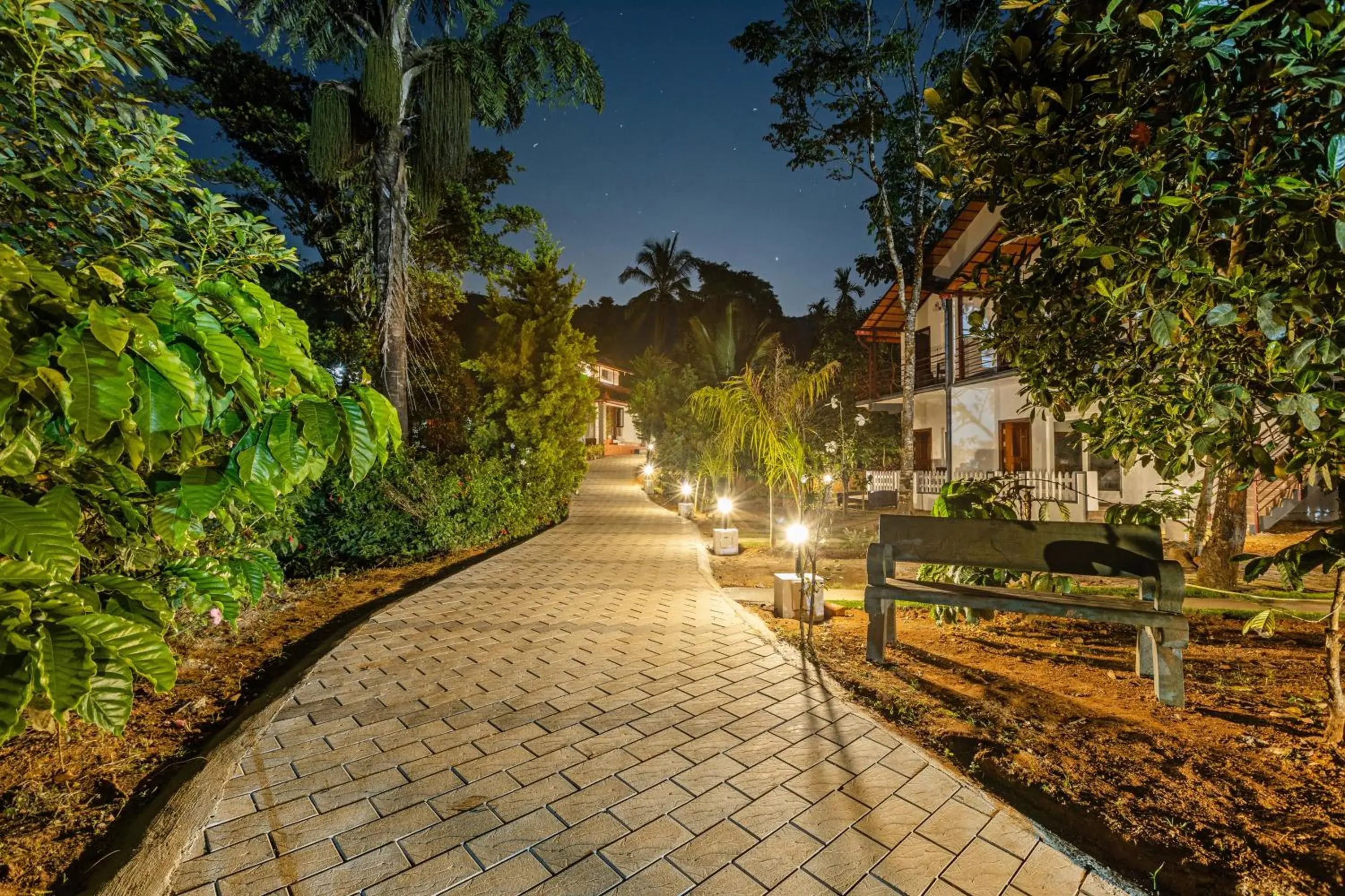 Garden view in Sterling Brookstone Coorg Garden view in Sterling Brookstone Coorg