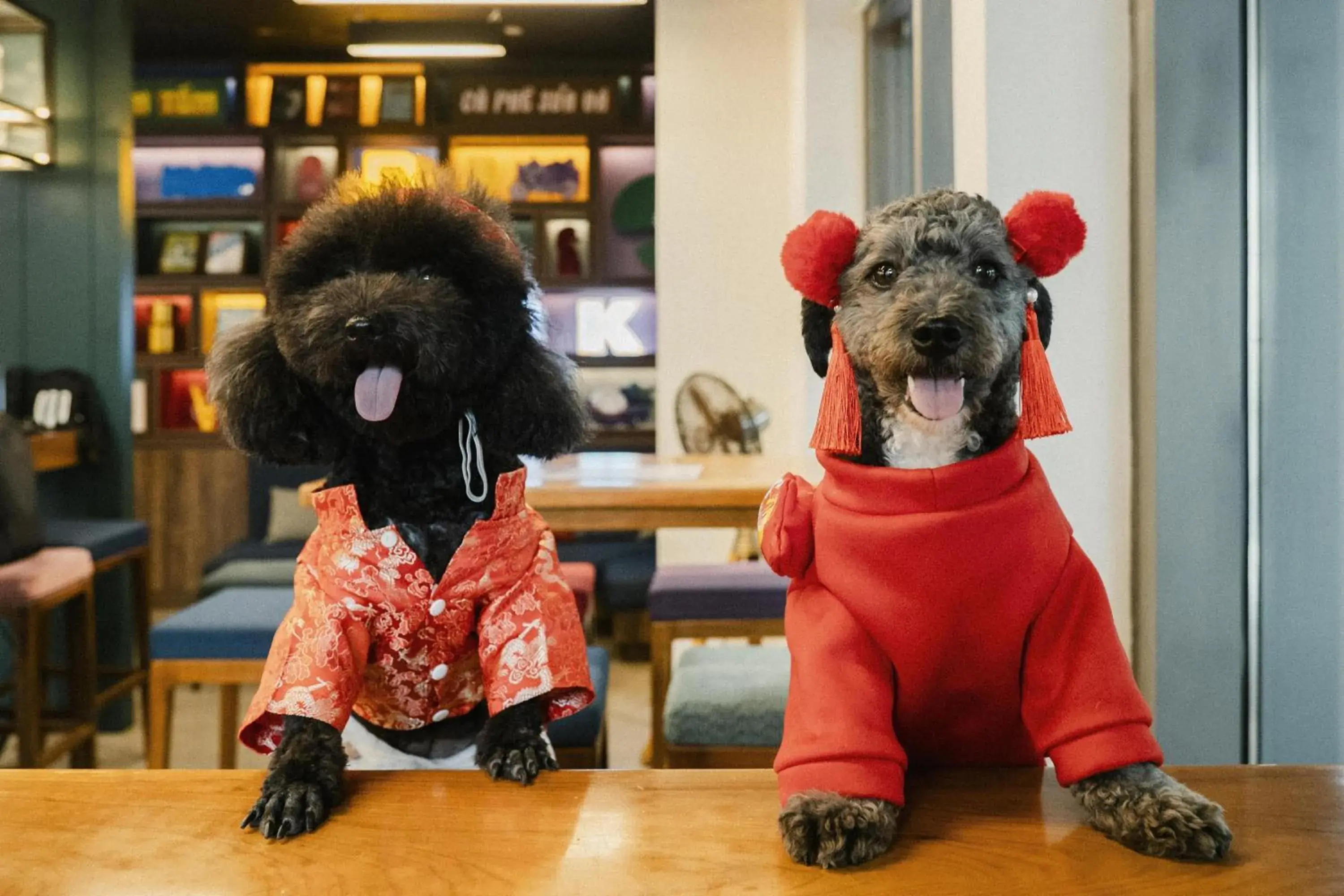 Lobby or reception in Wink Hai Phong Centre, Unscripted by Hyatt - 24 Hours stay Lobby or reception in Wink Hai Phong Centre, Unscripted by Hyatt - 24 Hours stay