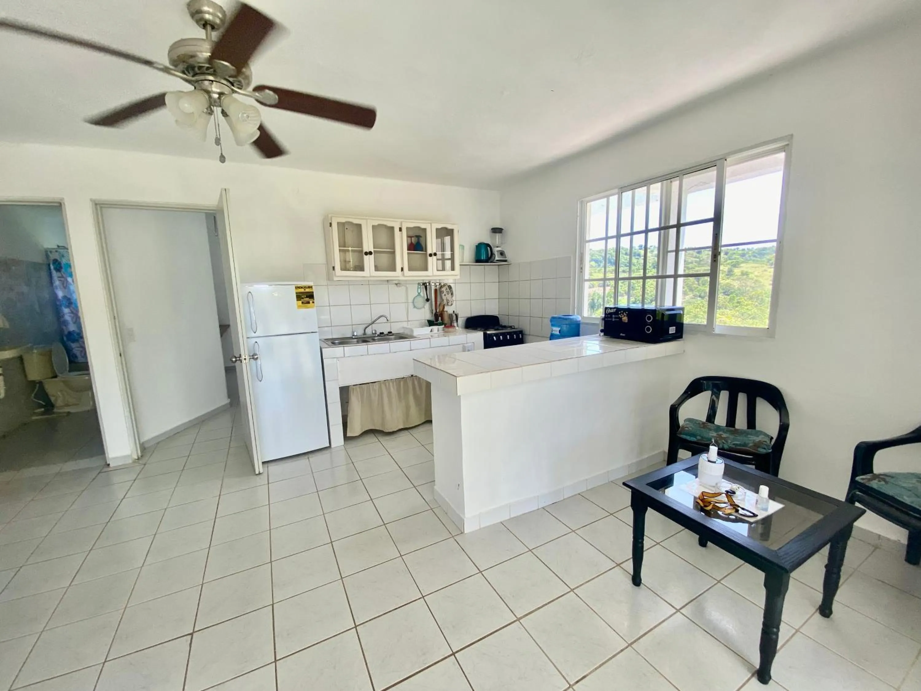 Kitchen or kitchenette in Casa Blanca Samaná - Las Galeras