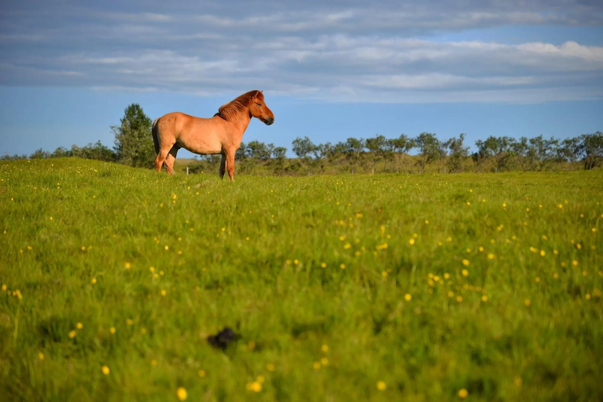 Natural landscape in Klausturhof Guesthouse