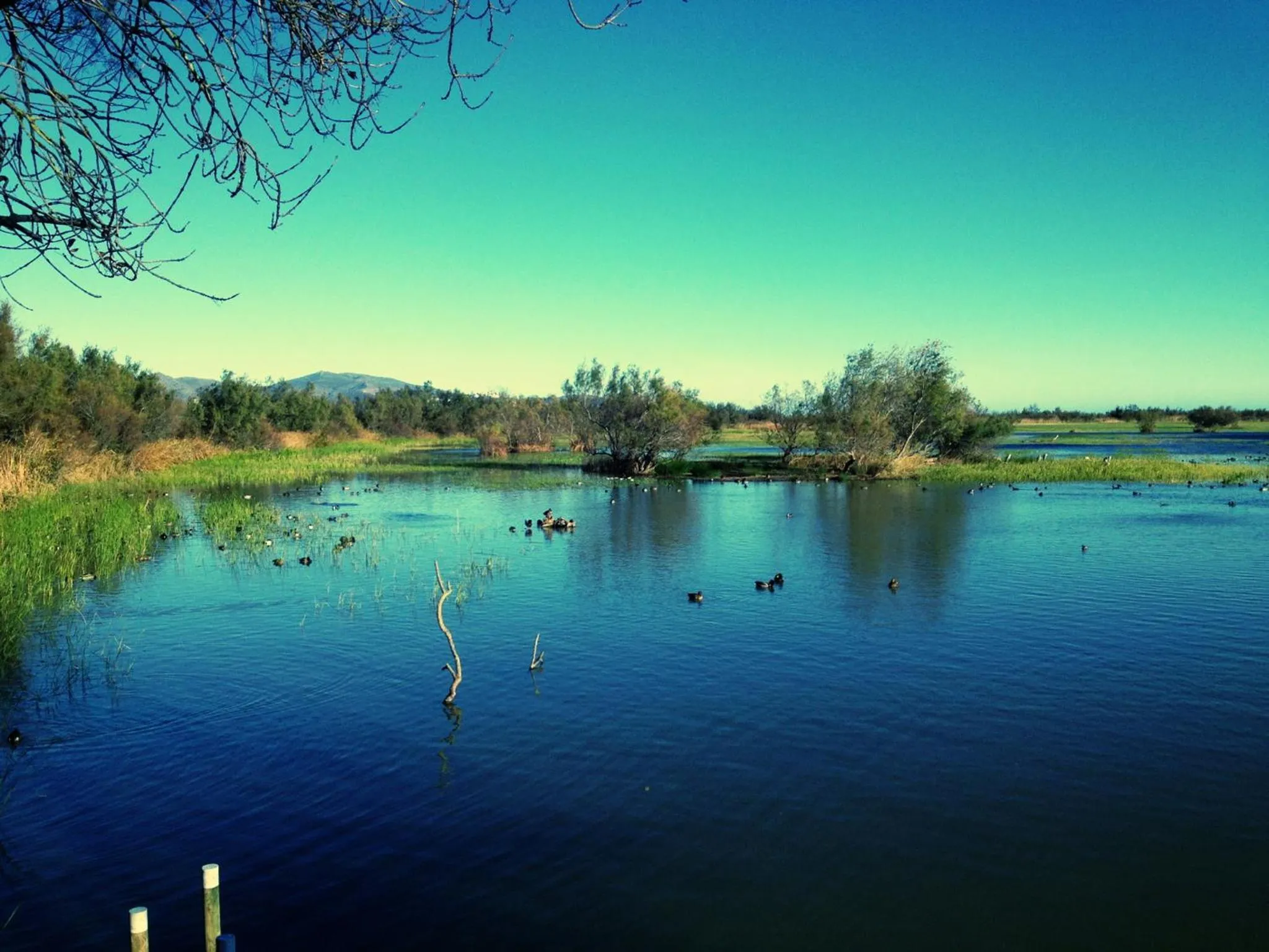 Area and facilities in Casa Del Mar Hotel & Apartaments