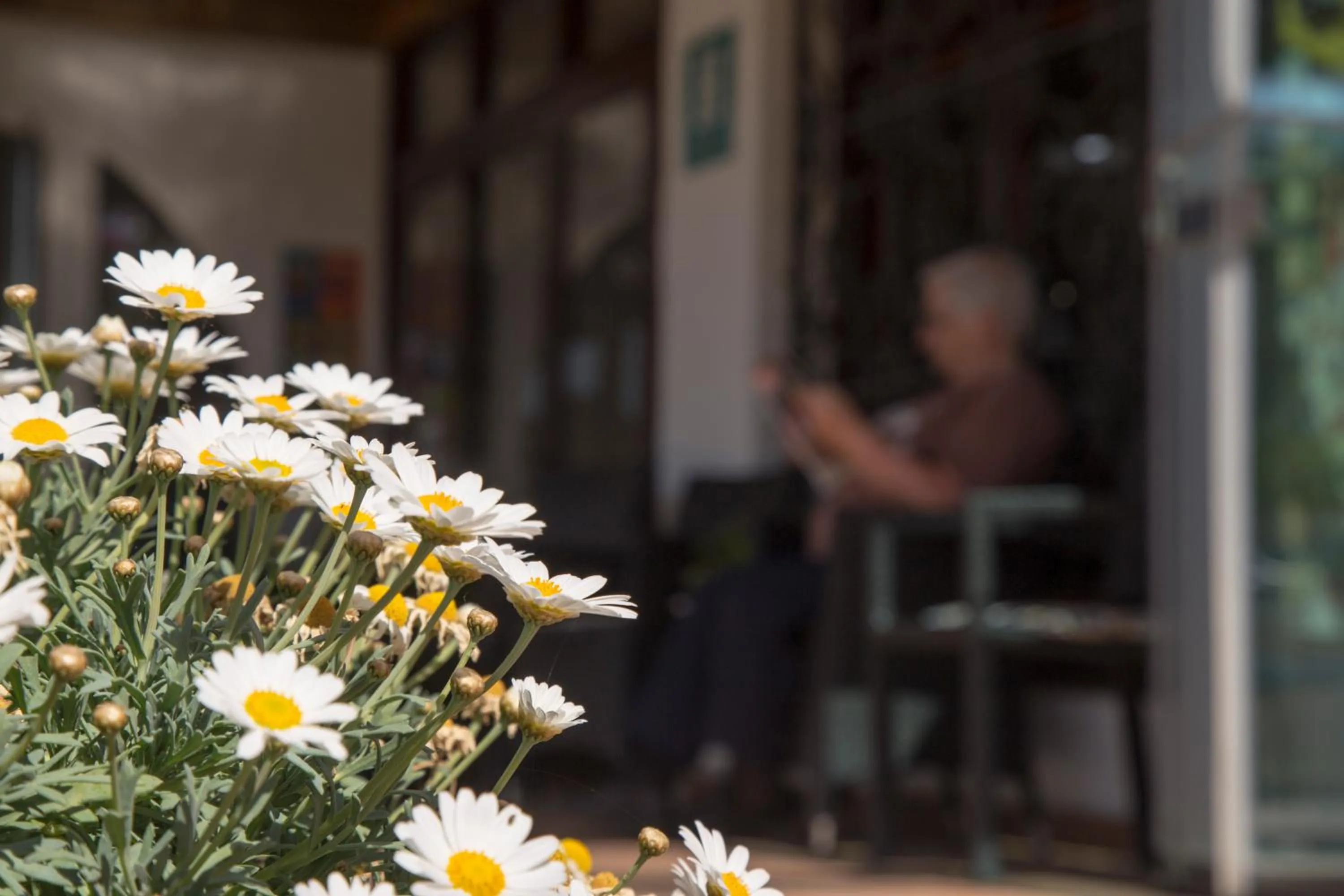 Casa Del Mar Hotel & Apartaments