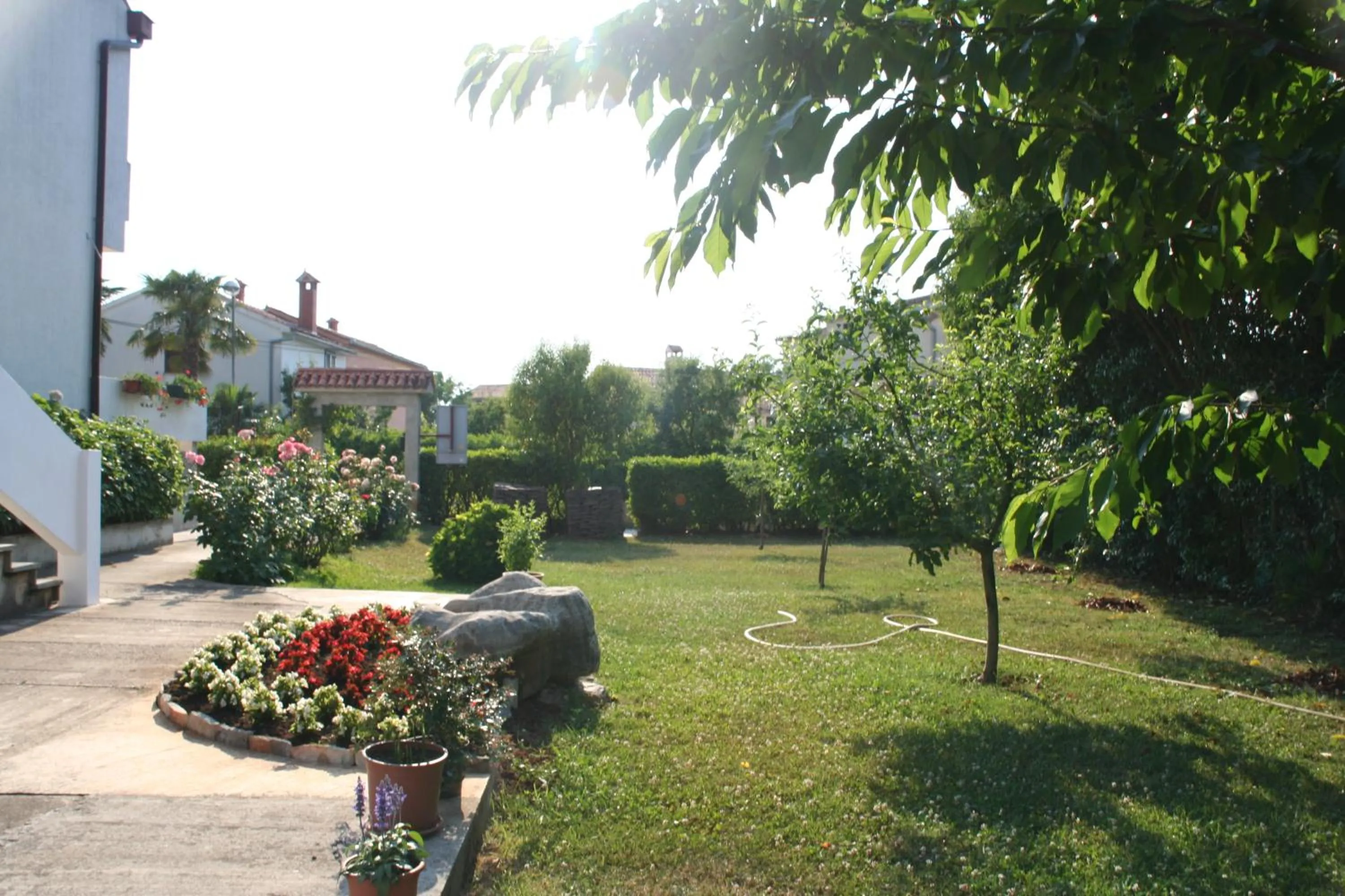Garden in Apartments Villa Falcon