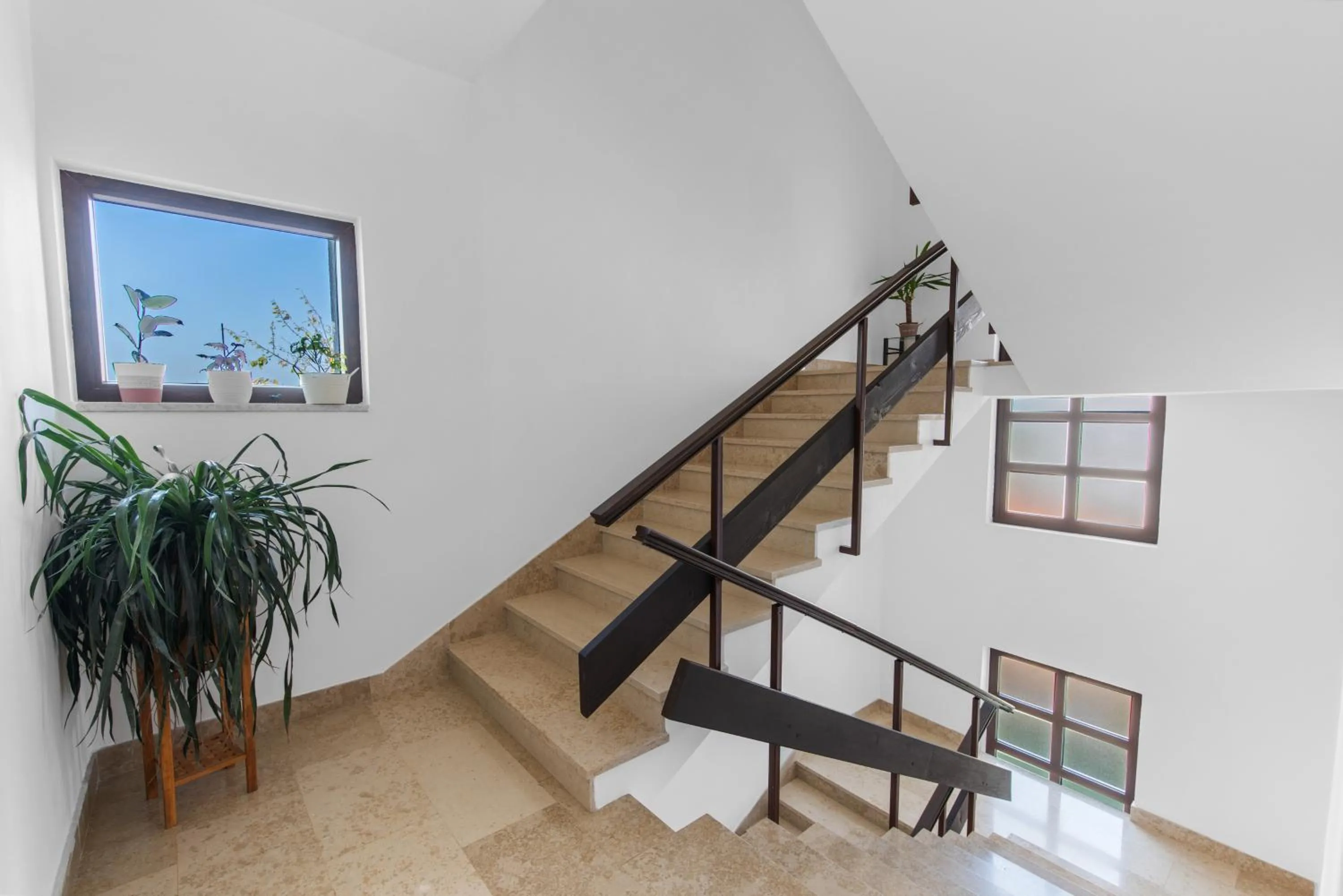 Apartments Villa Falcon