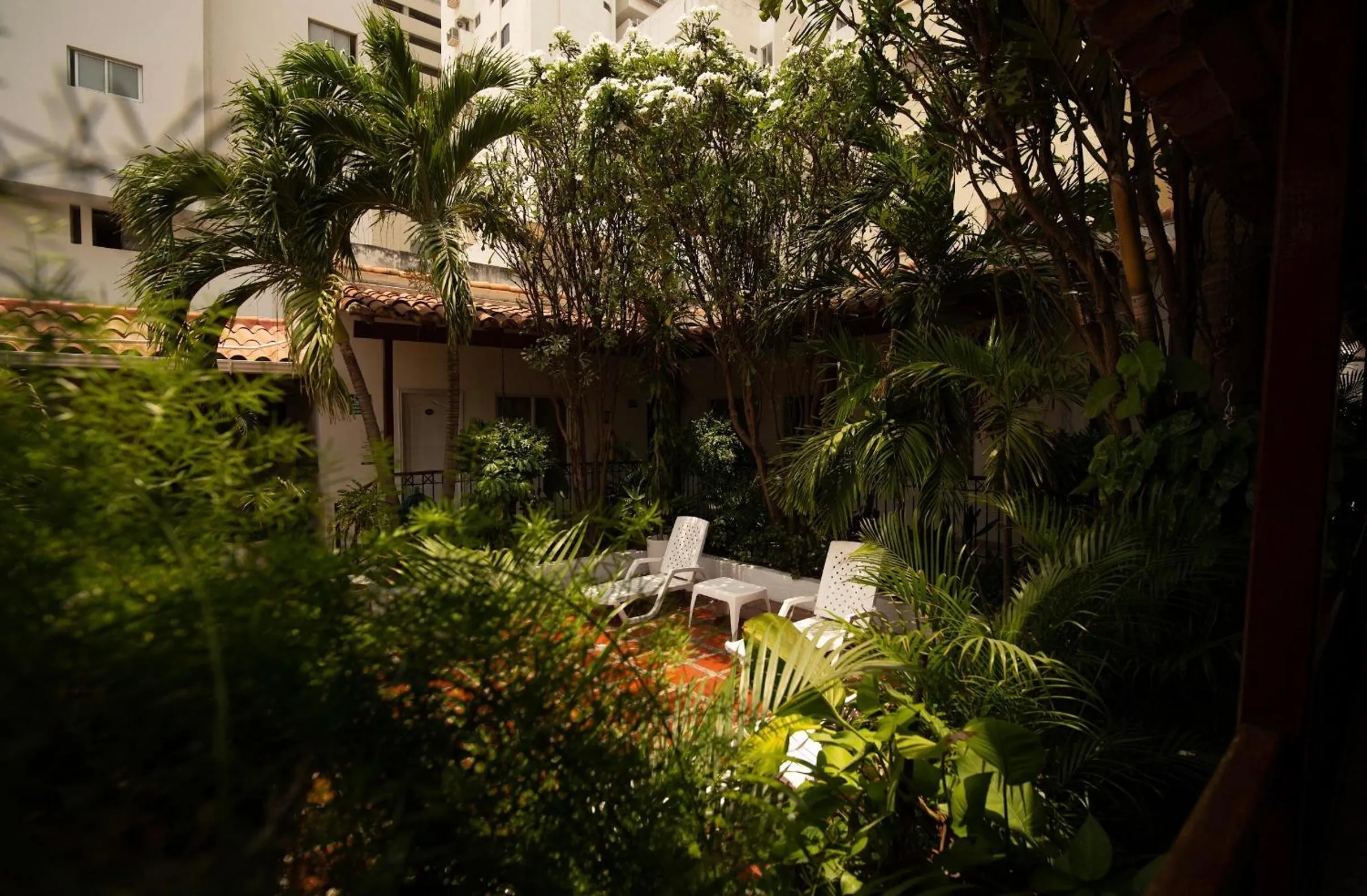 Garden in Hotel Casa Fátima