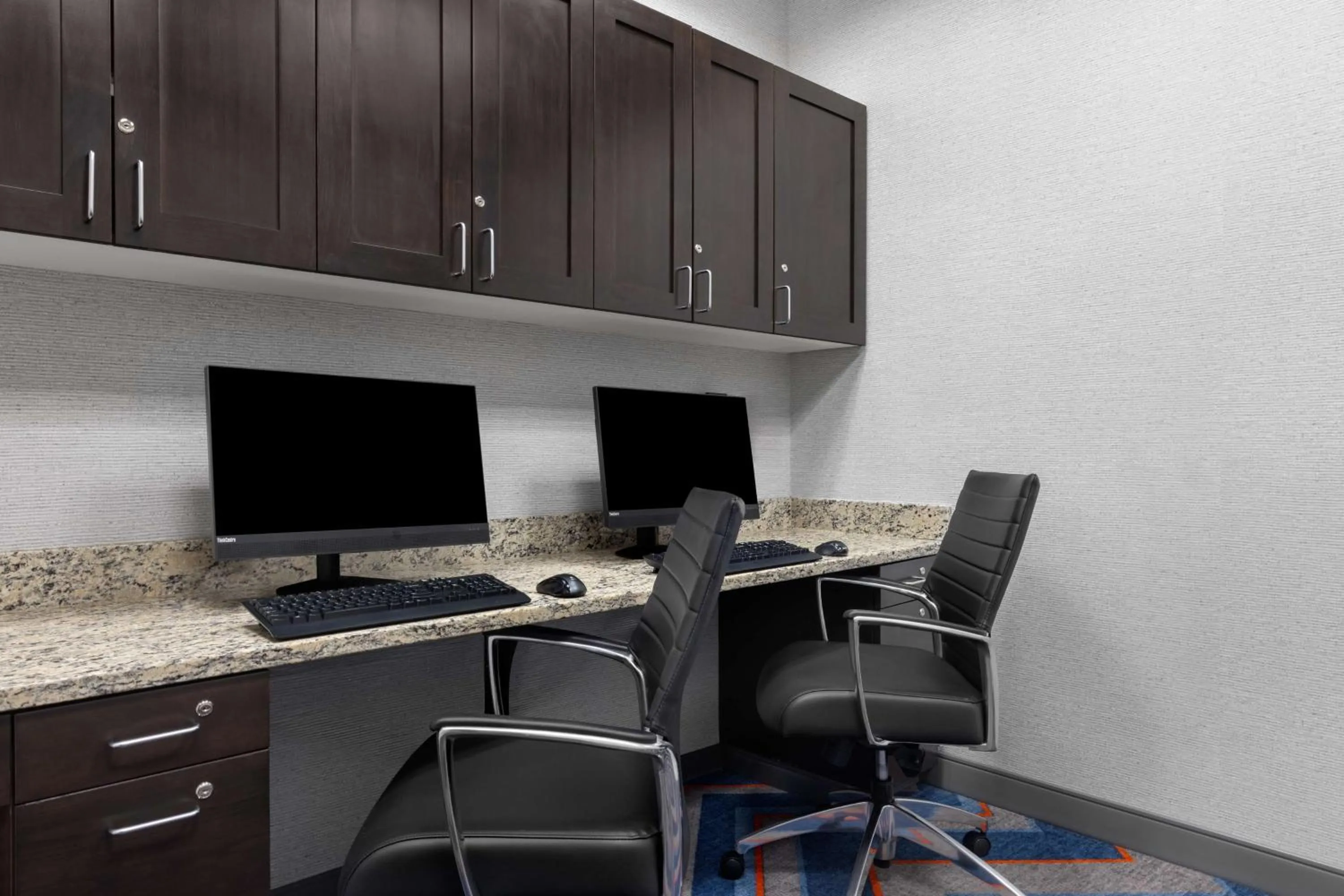 Business facilities in Hampton Inn & Suites Douglas