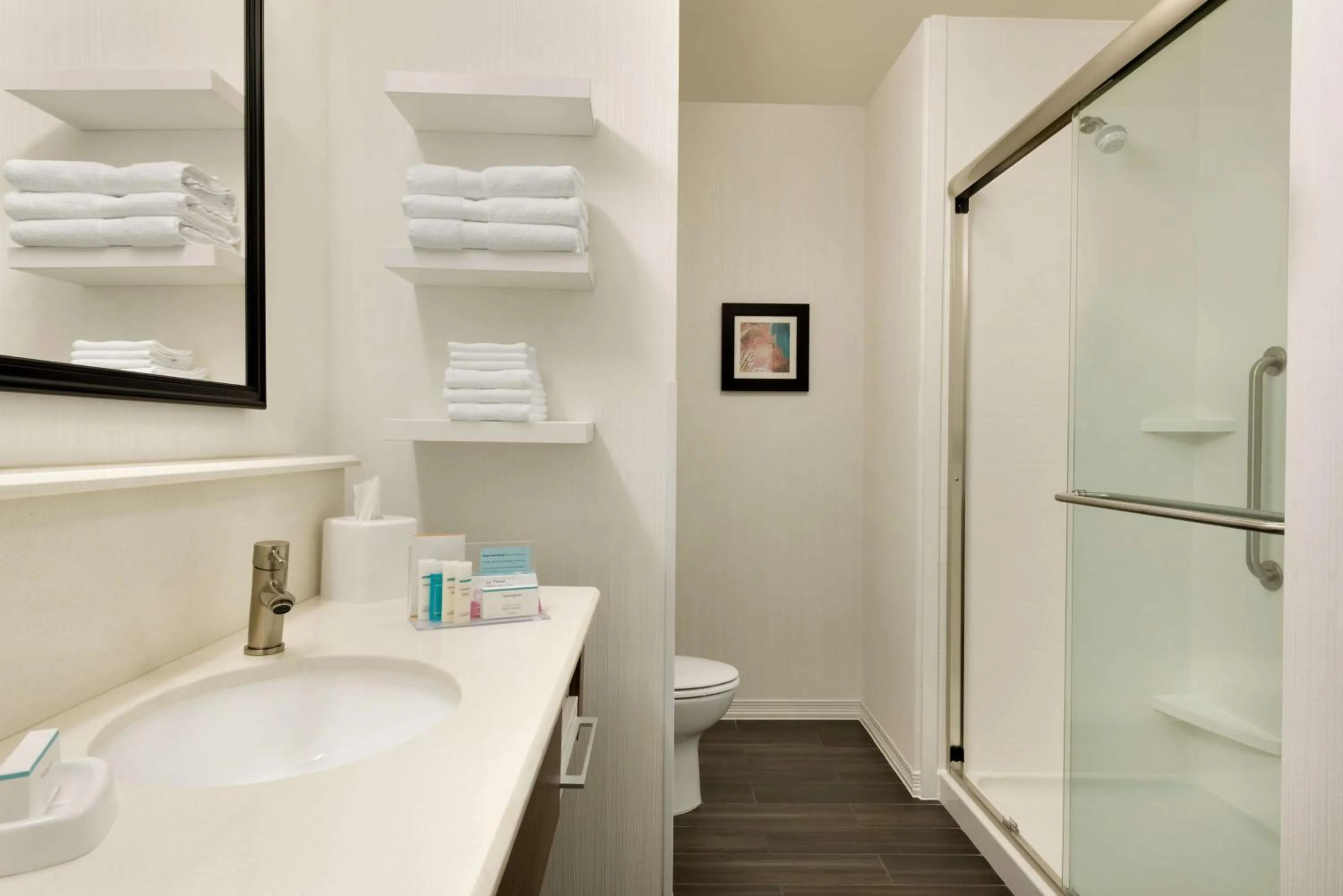 Bathroom in Hampton Inn and Suites Monroe