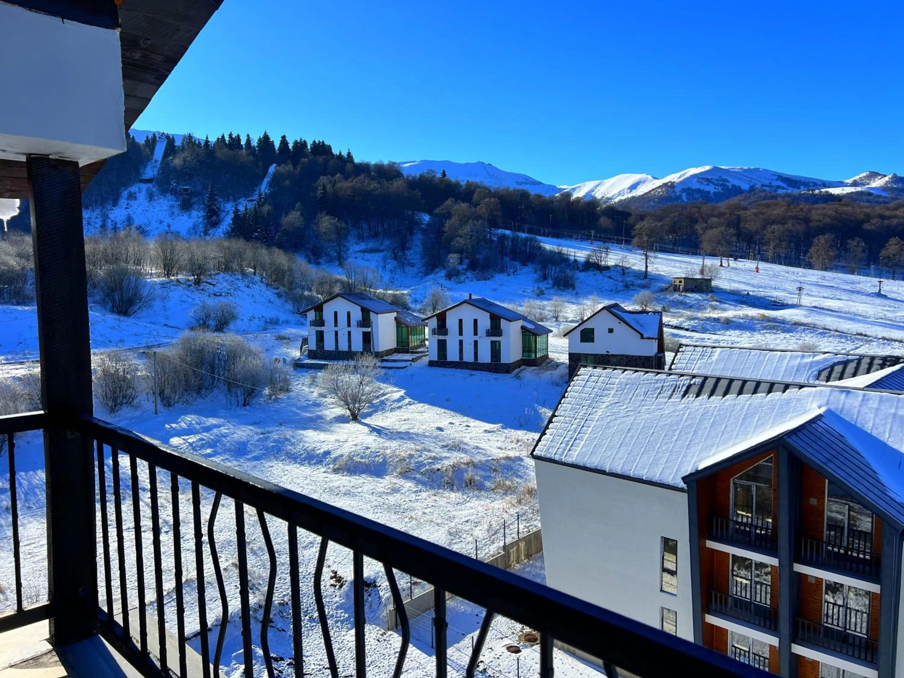 Winter in Travel Inn Bakuriani