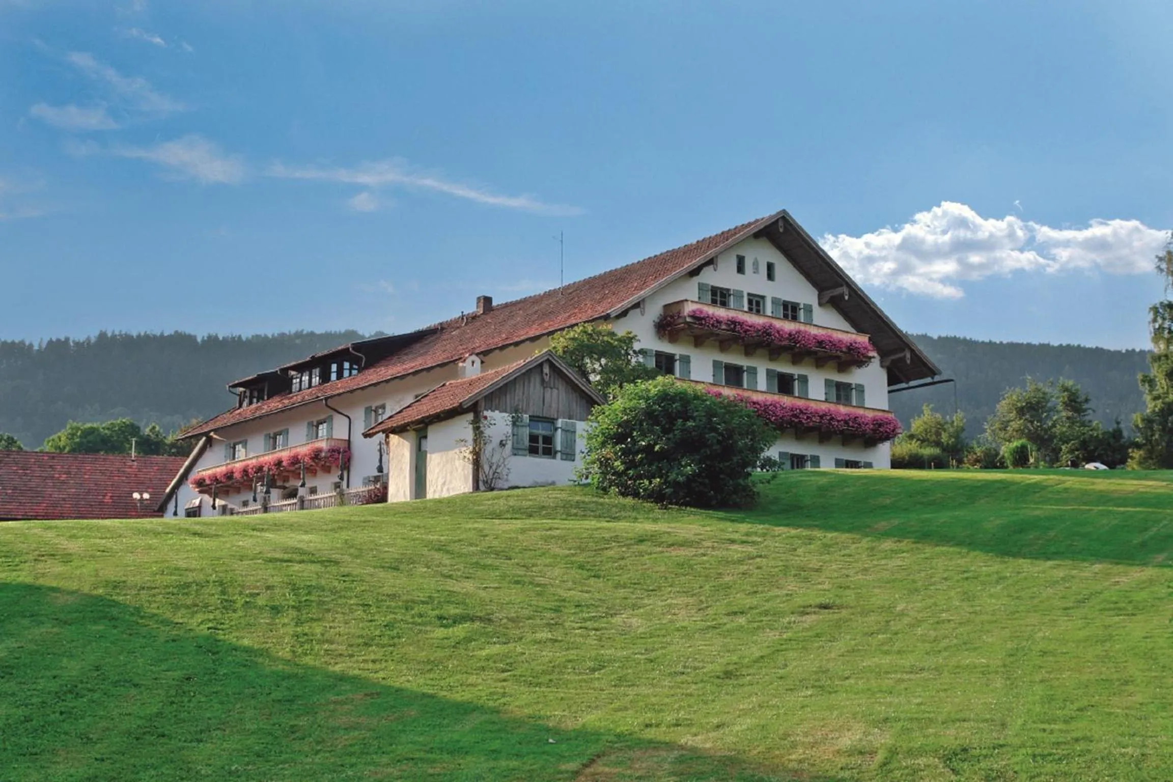 Wild-Berghof Buchet