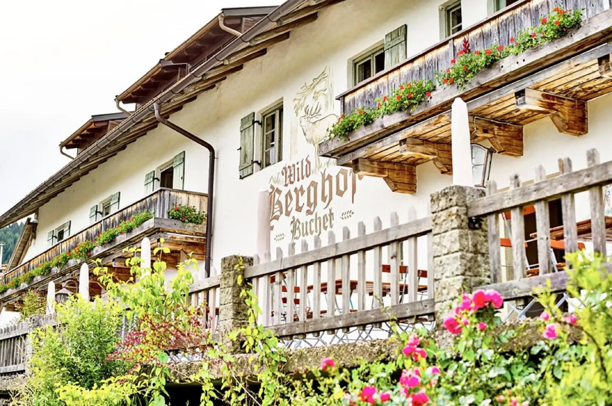Wild-Berghof Buchet Wild-Berghof Buchet