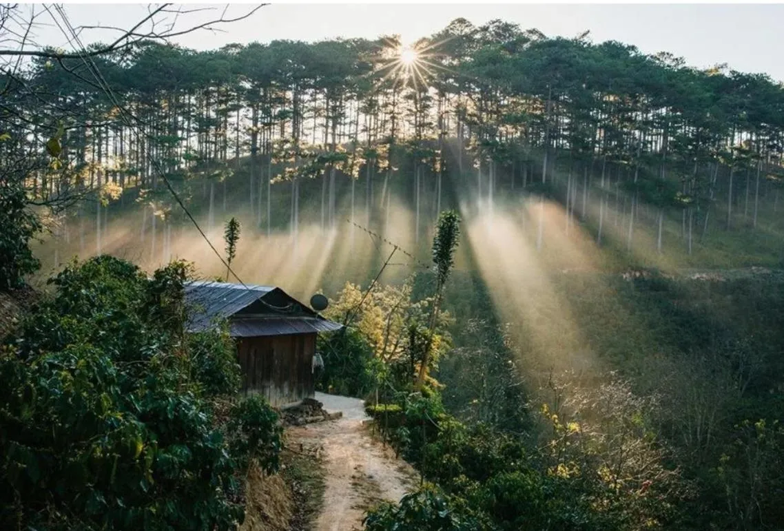 Natural landscape in Pho Nui Hotel