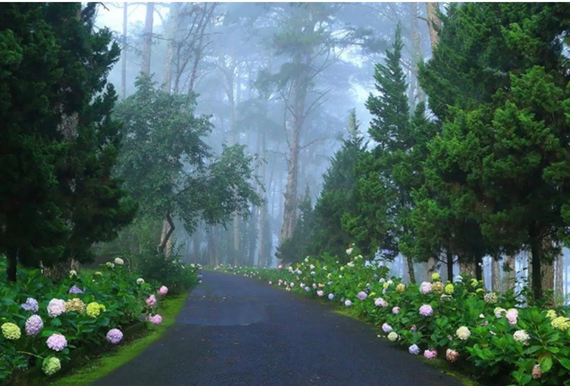 Natural landscape in Pho Nui Hotel