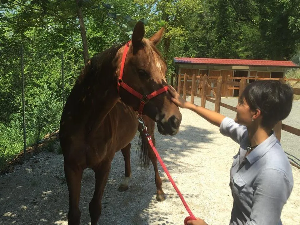 B&B Lo Scoiattolo del Pollino
