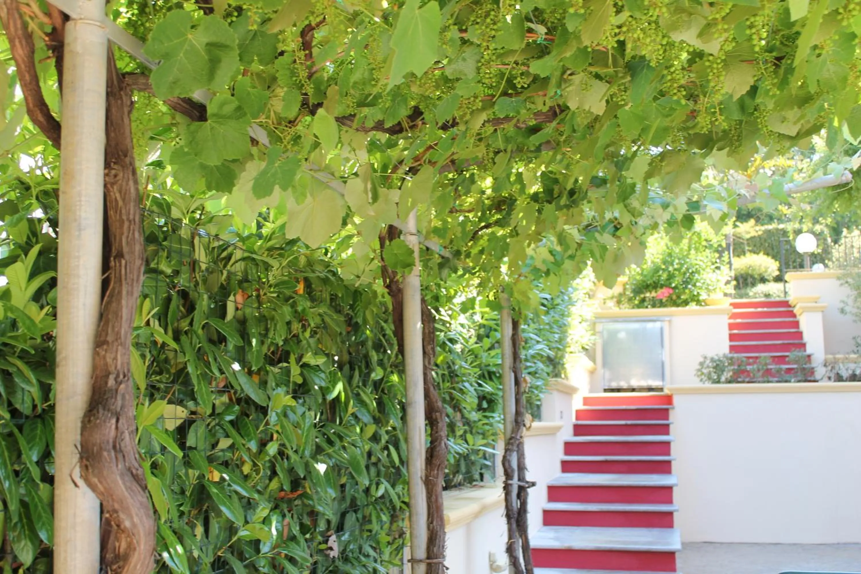 B&B Lo Scoiattolo del Pollino