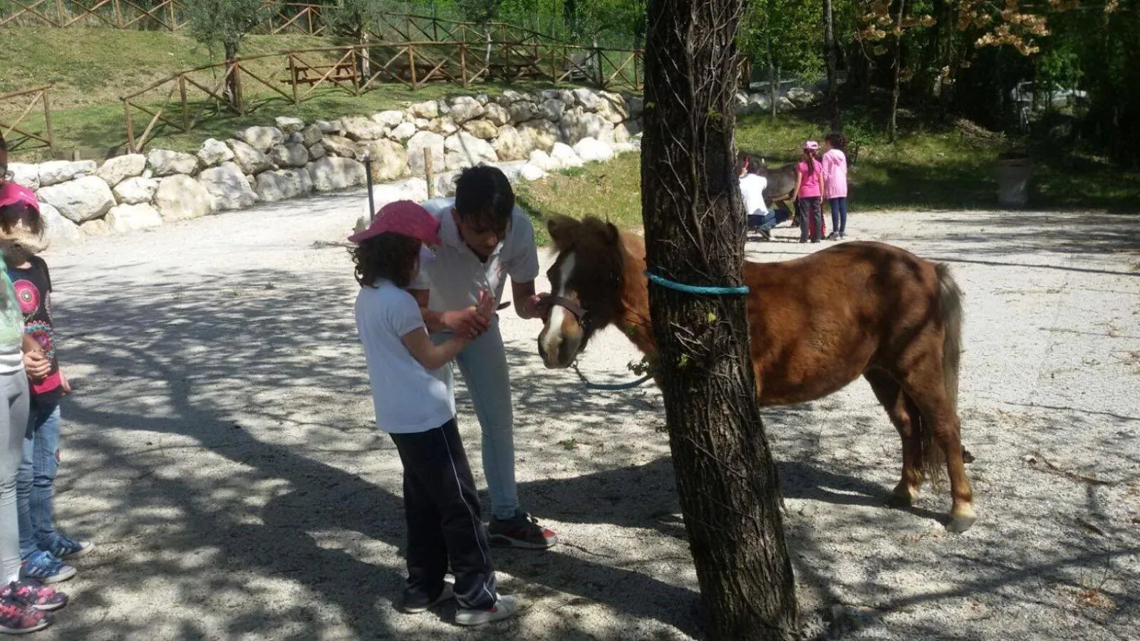 B&B Lo Scoiattolo del Pollino