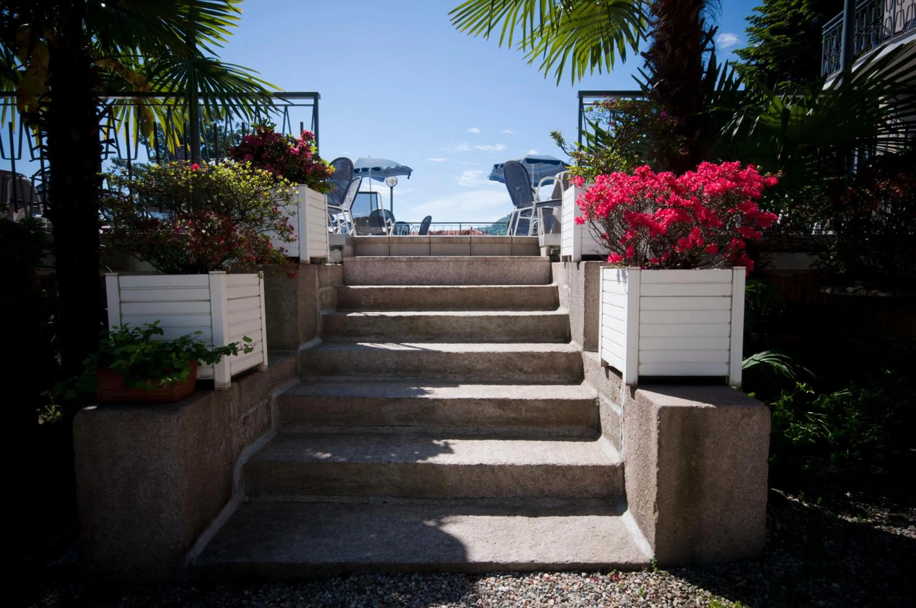 Balcony/Terrace in Hotel Alpi