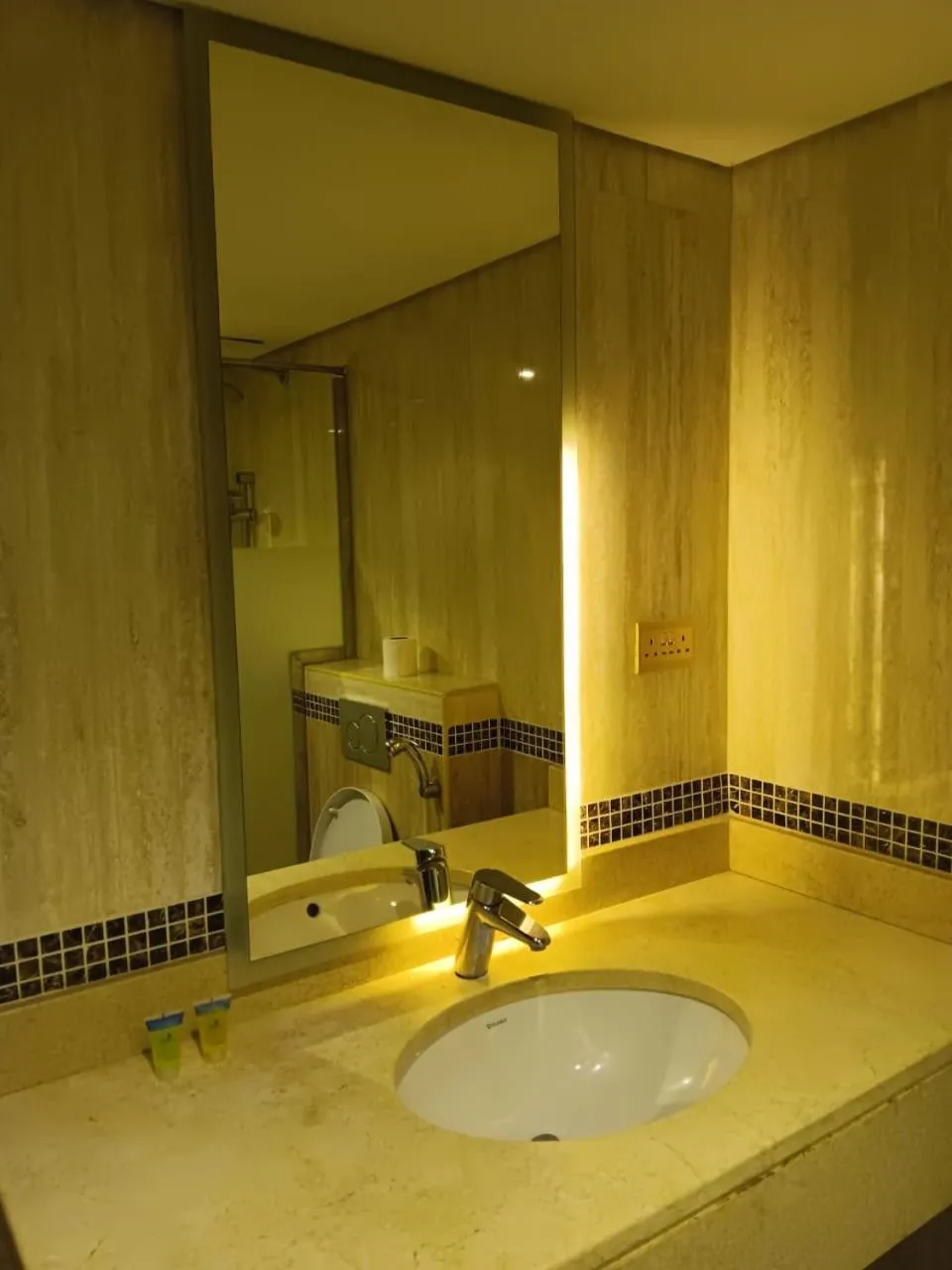 helnan royal hotel دبي