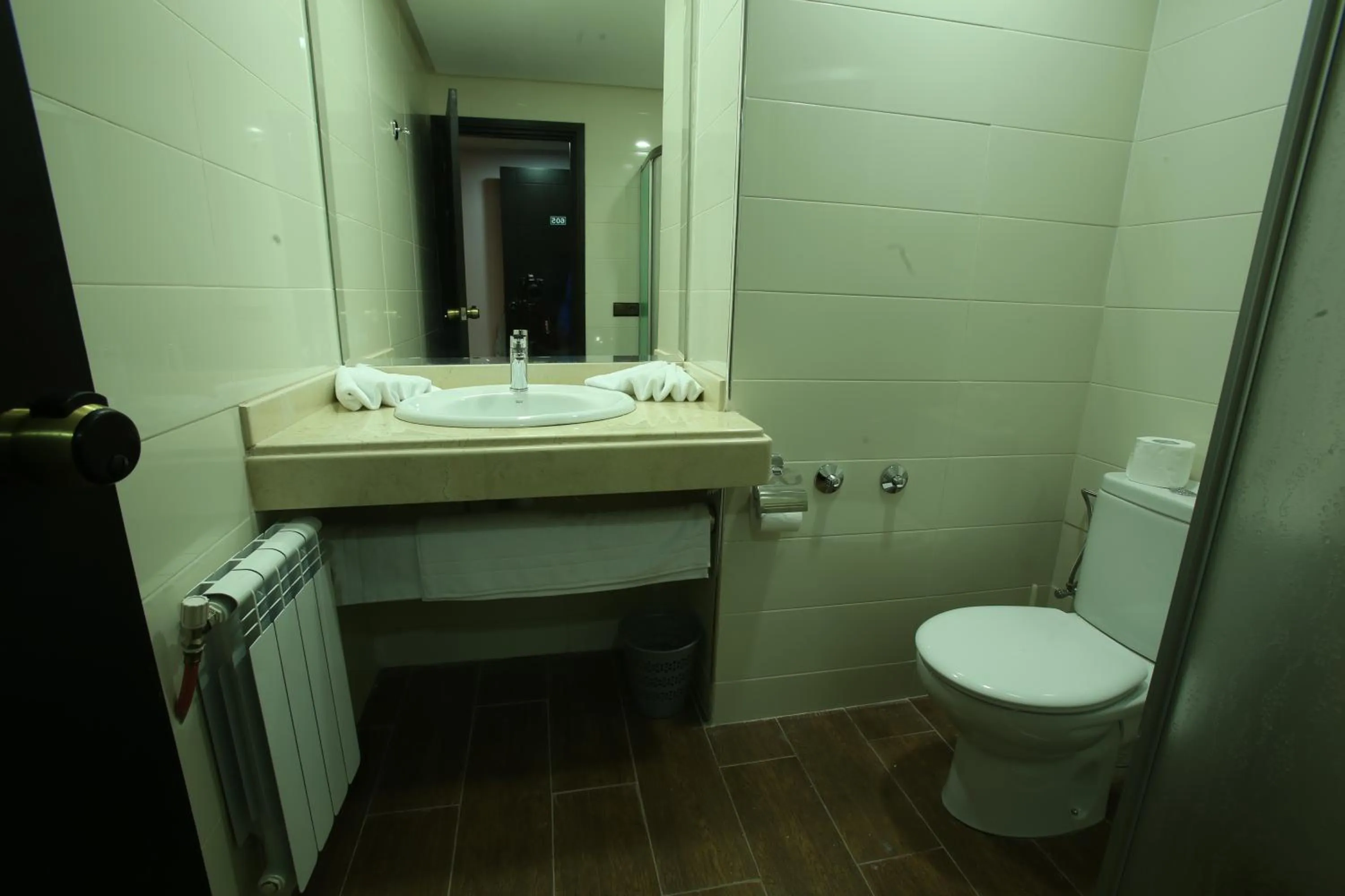 Shower in Hotel Swani